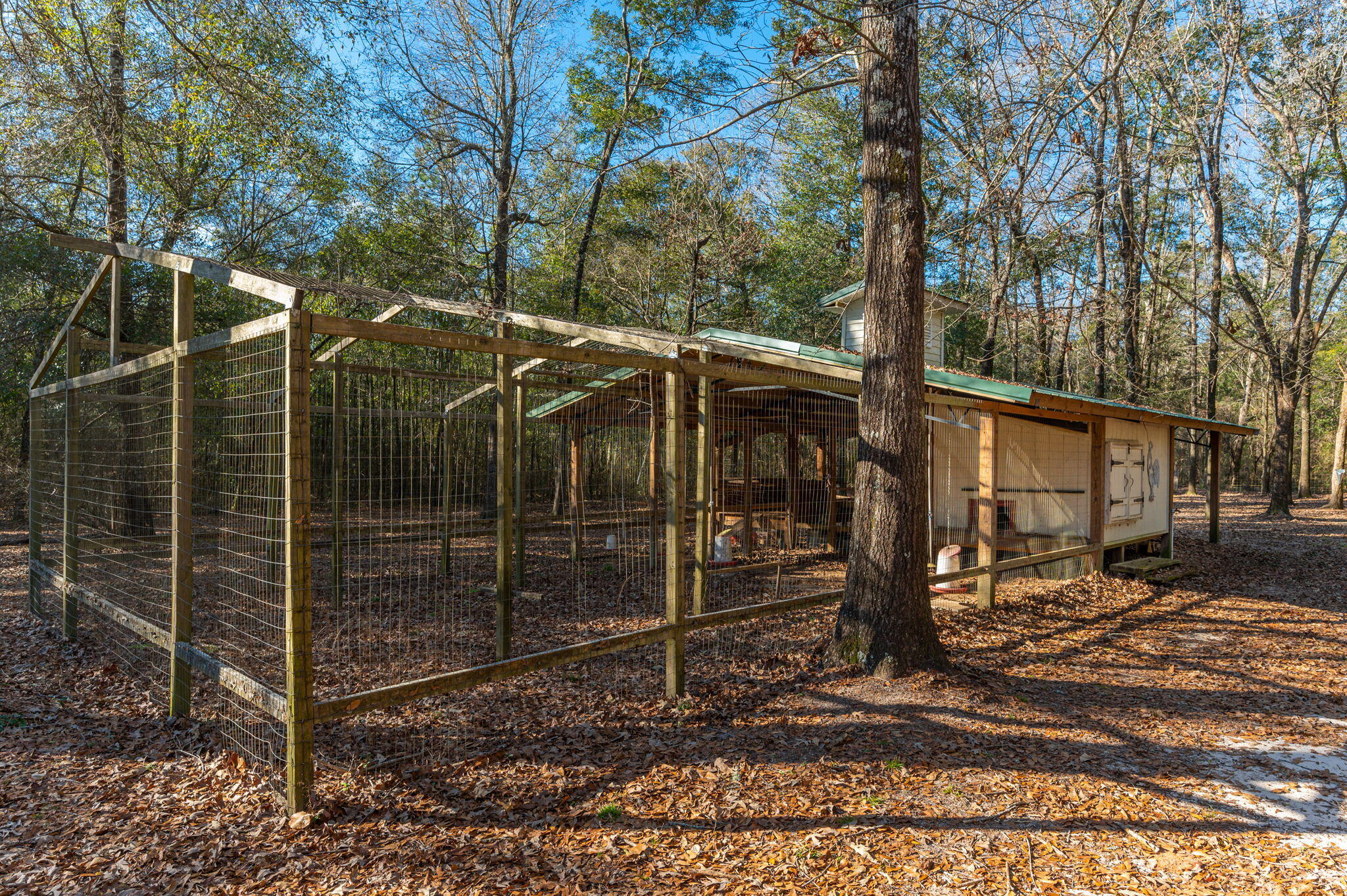 main property photo 36