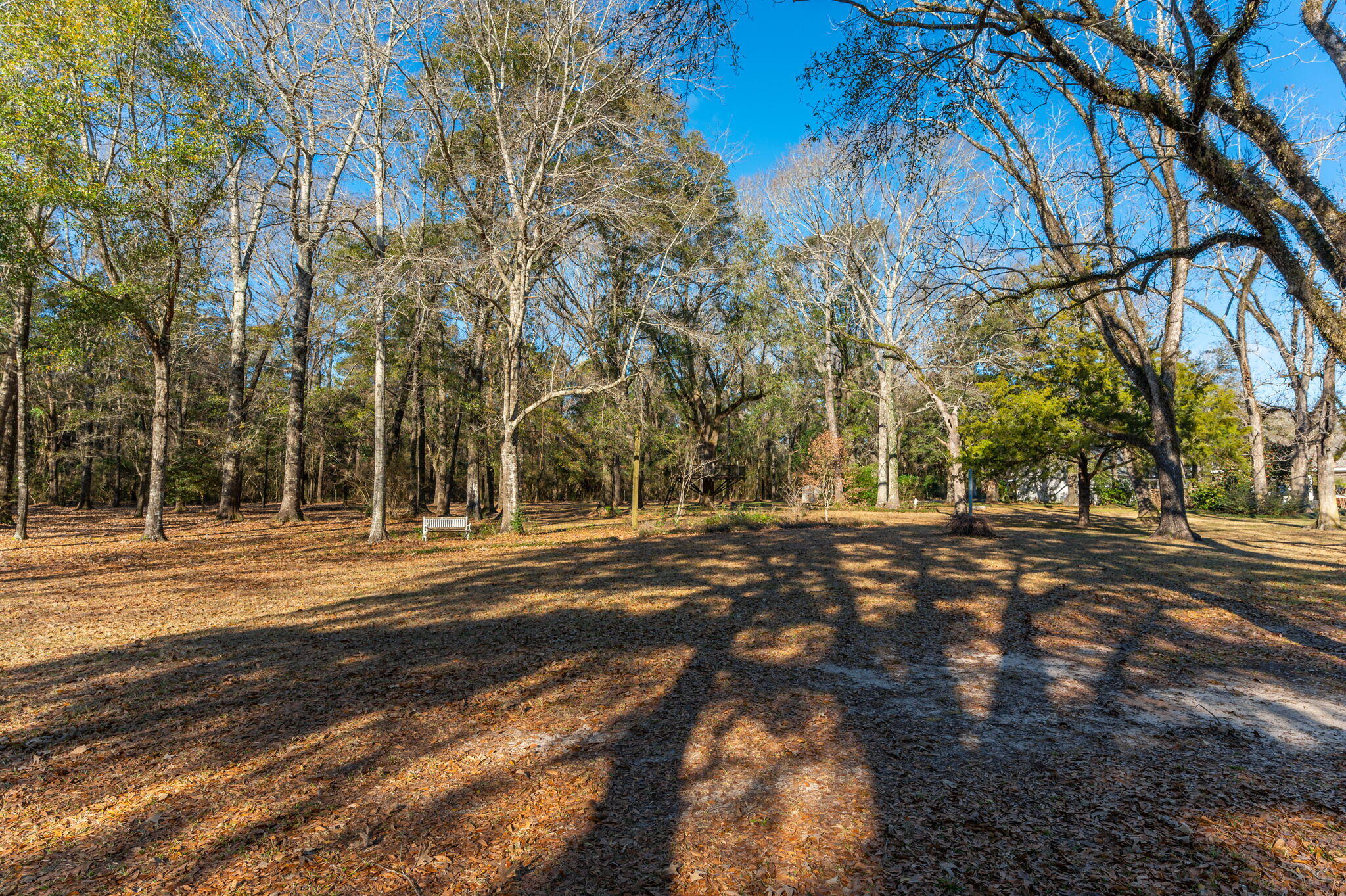 main property photo 38