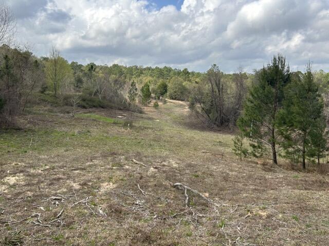 main property photo 37