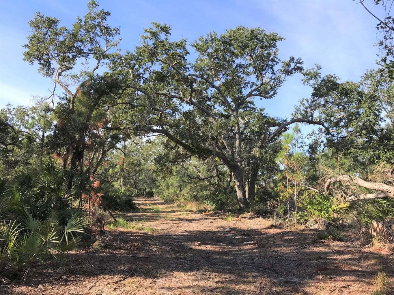 main property photo 8