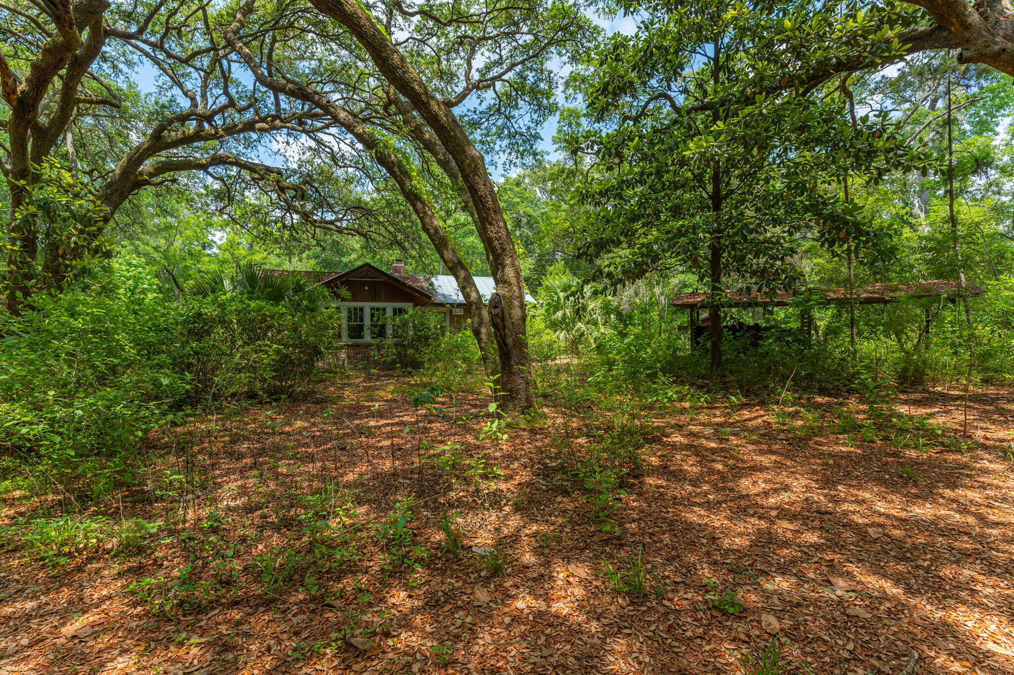 main property photo 14
