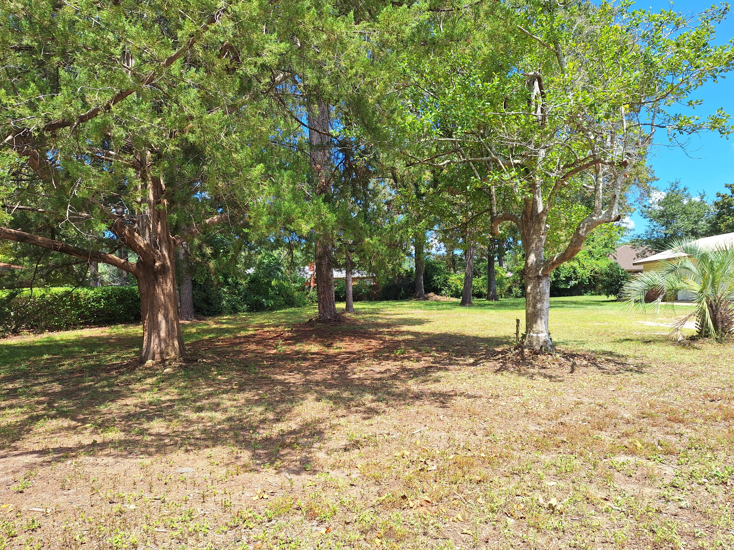 main property photo 33