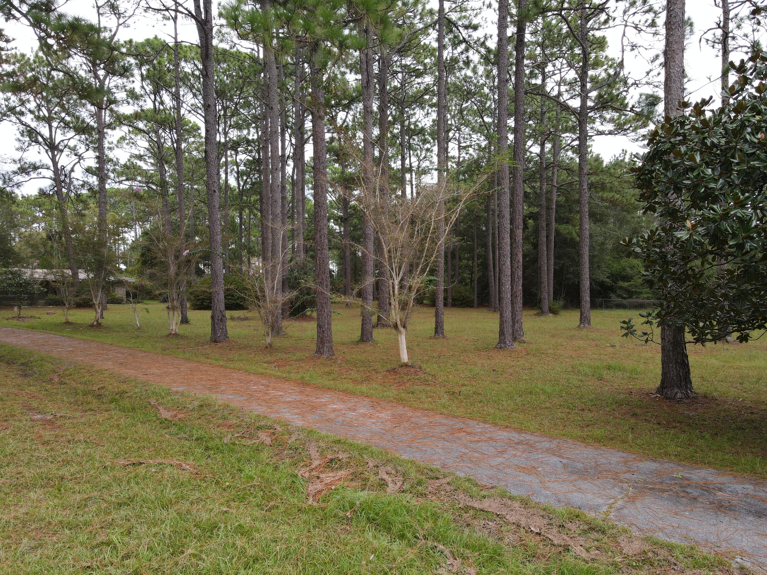 main property photo 7