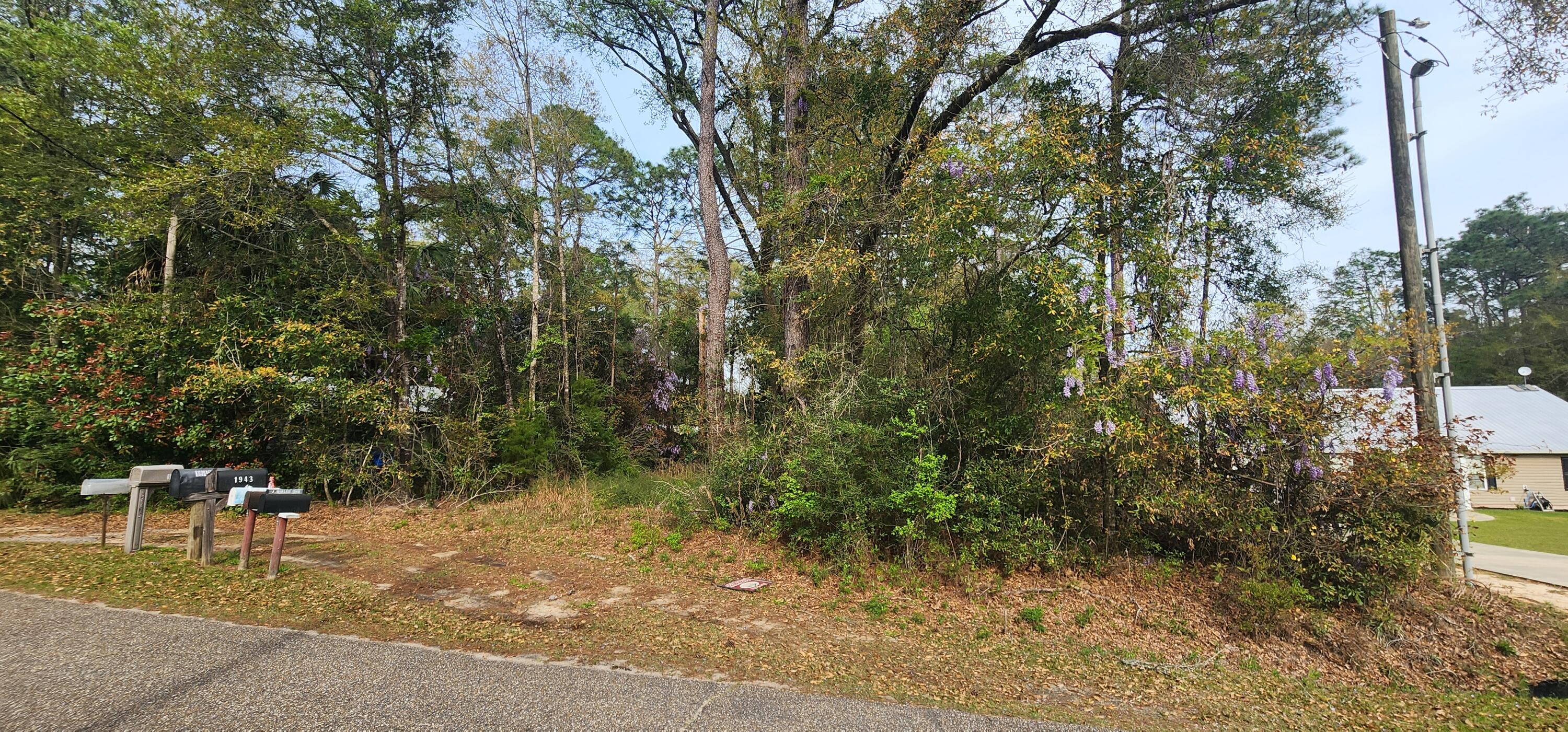 main property photo 5