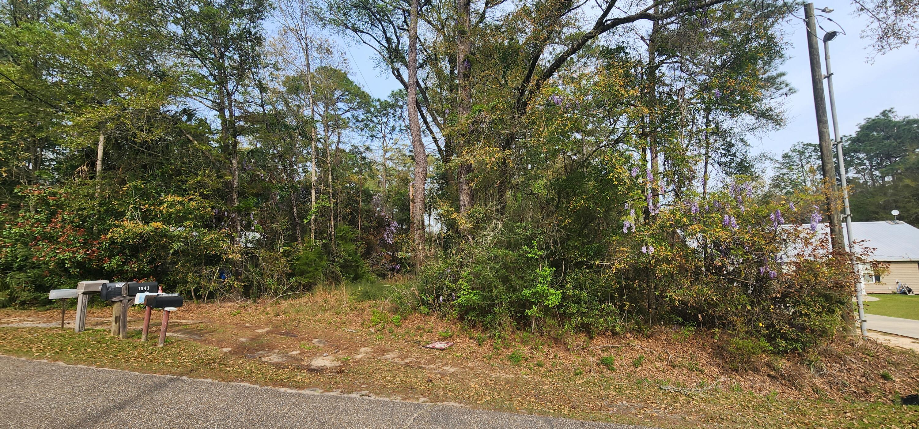 main property photo 6