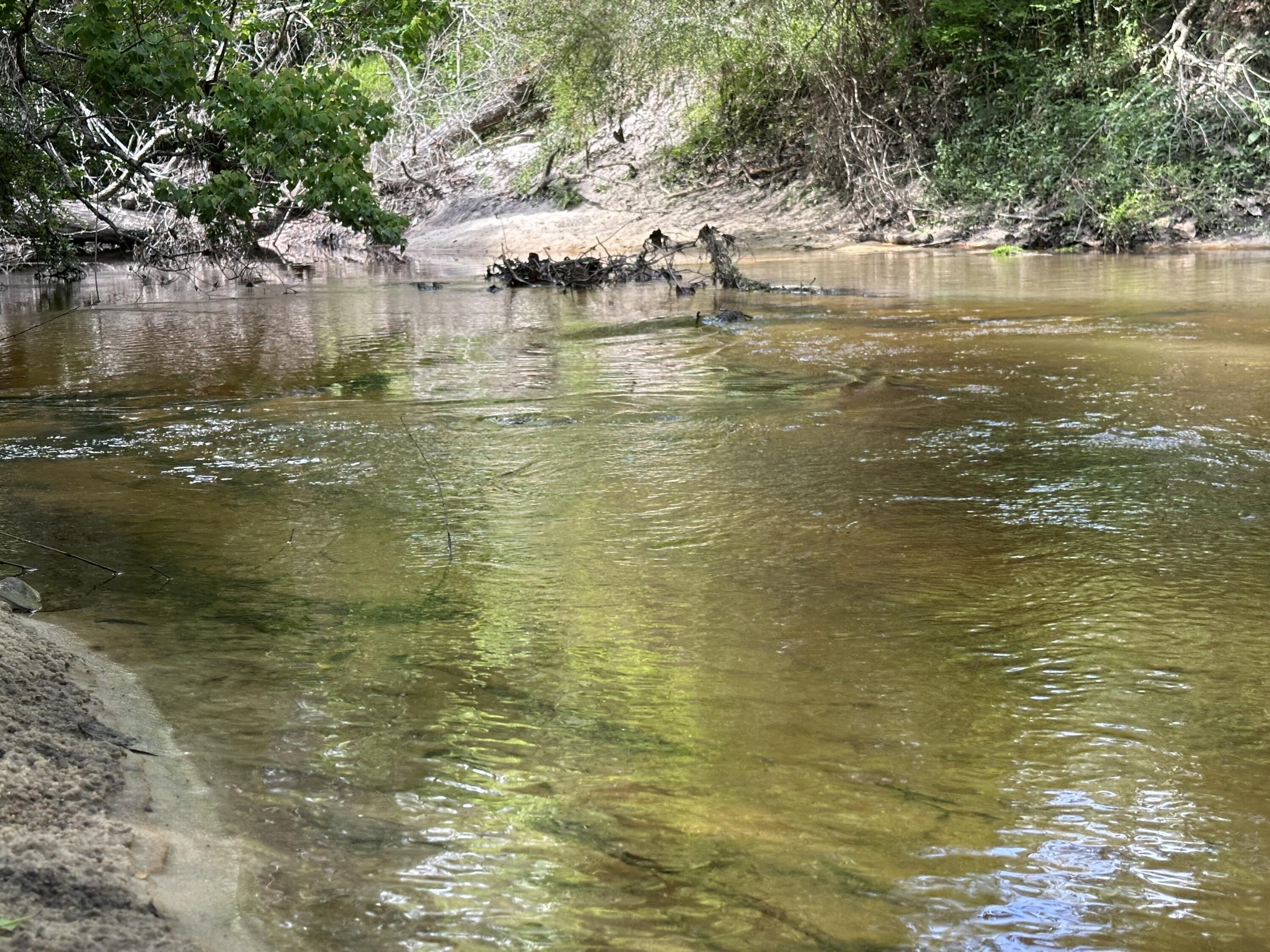 main property photo 35