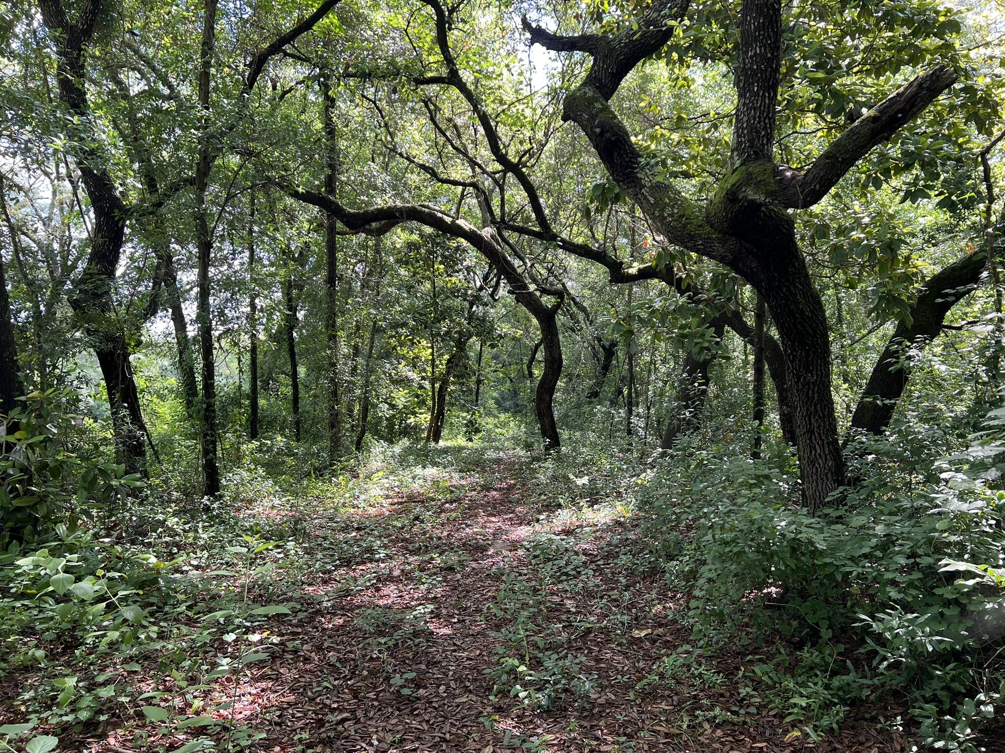 main property photo 17
