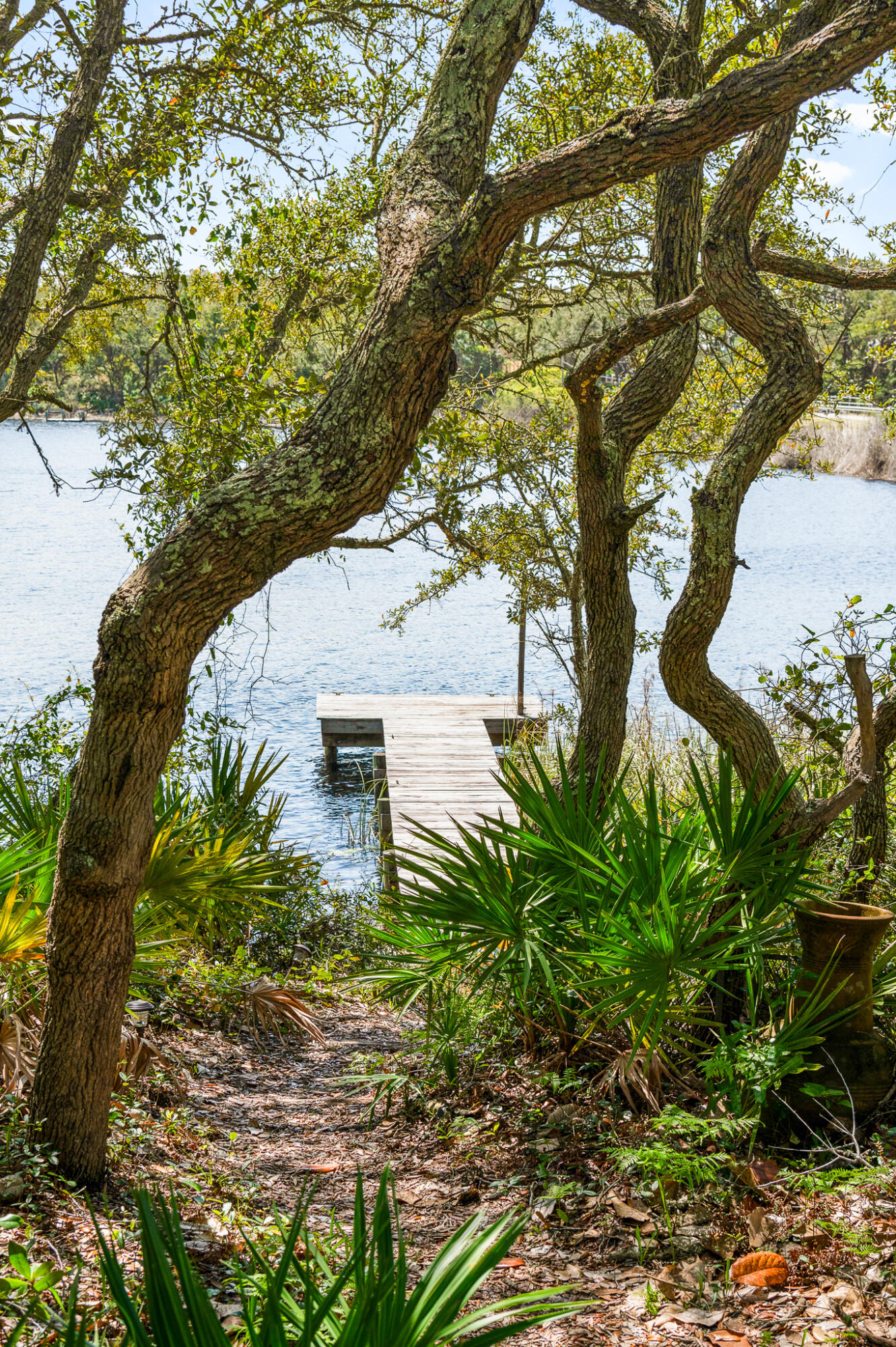 main property photo 50