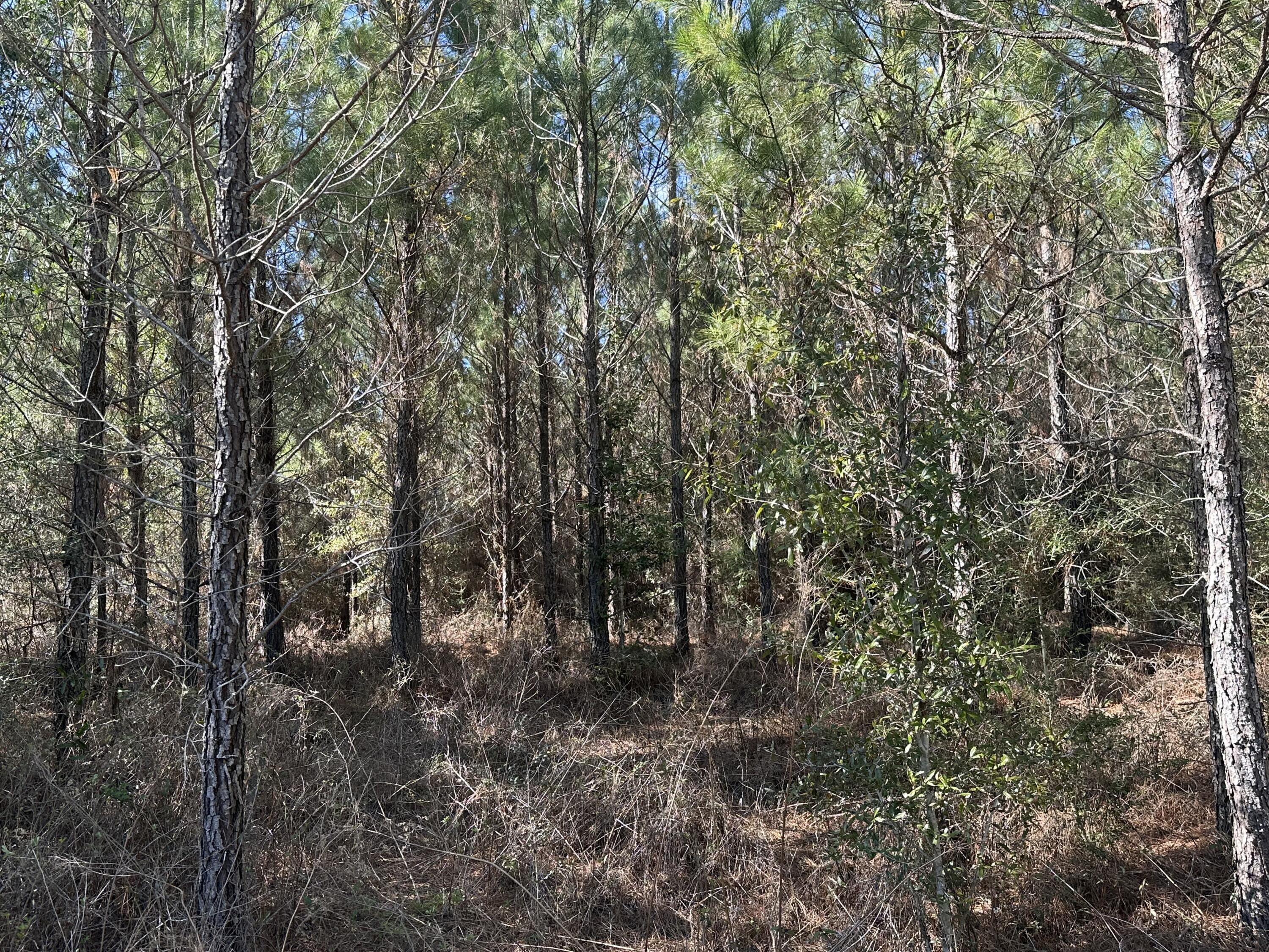 main property photo 16