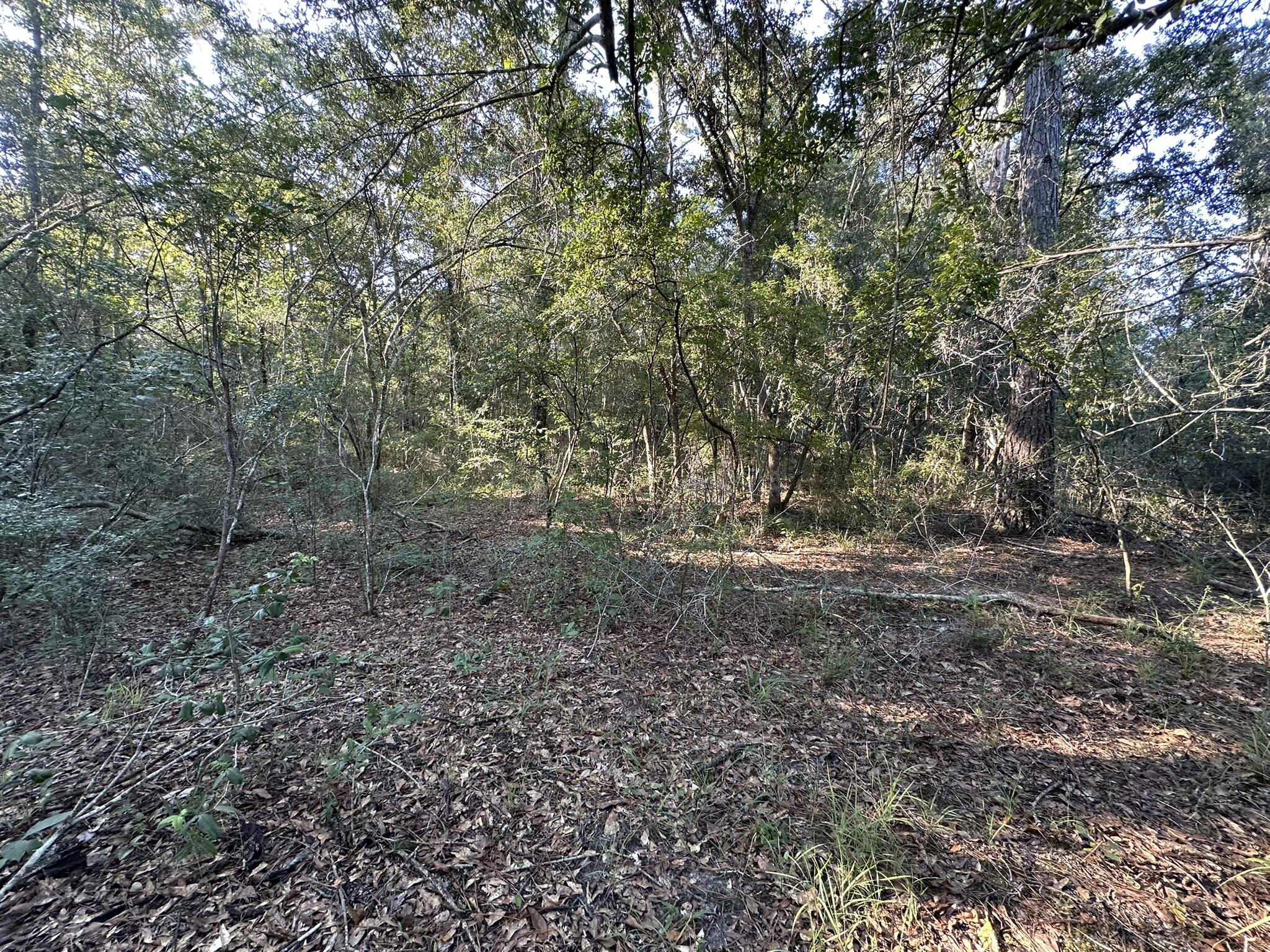 main property photo 18