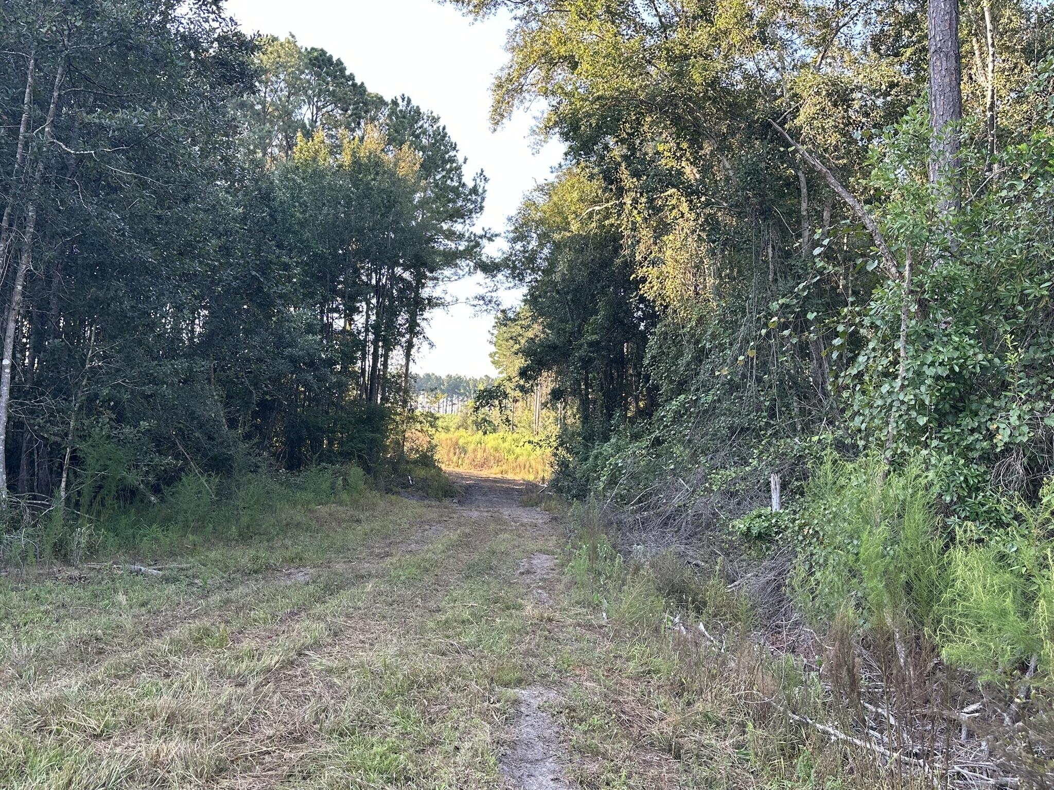 main property photo 30
