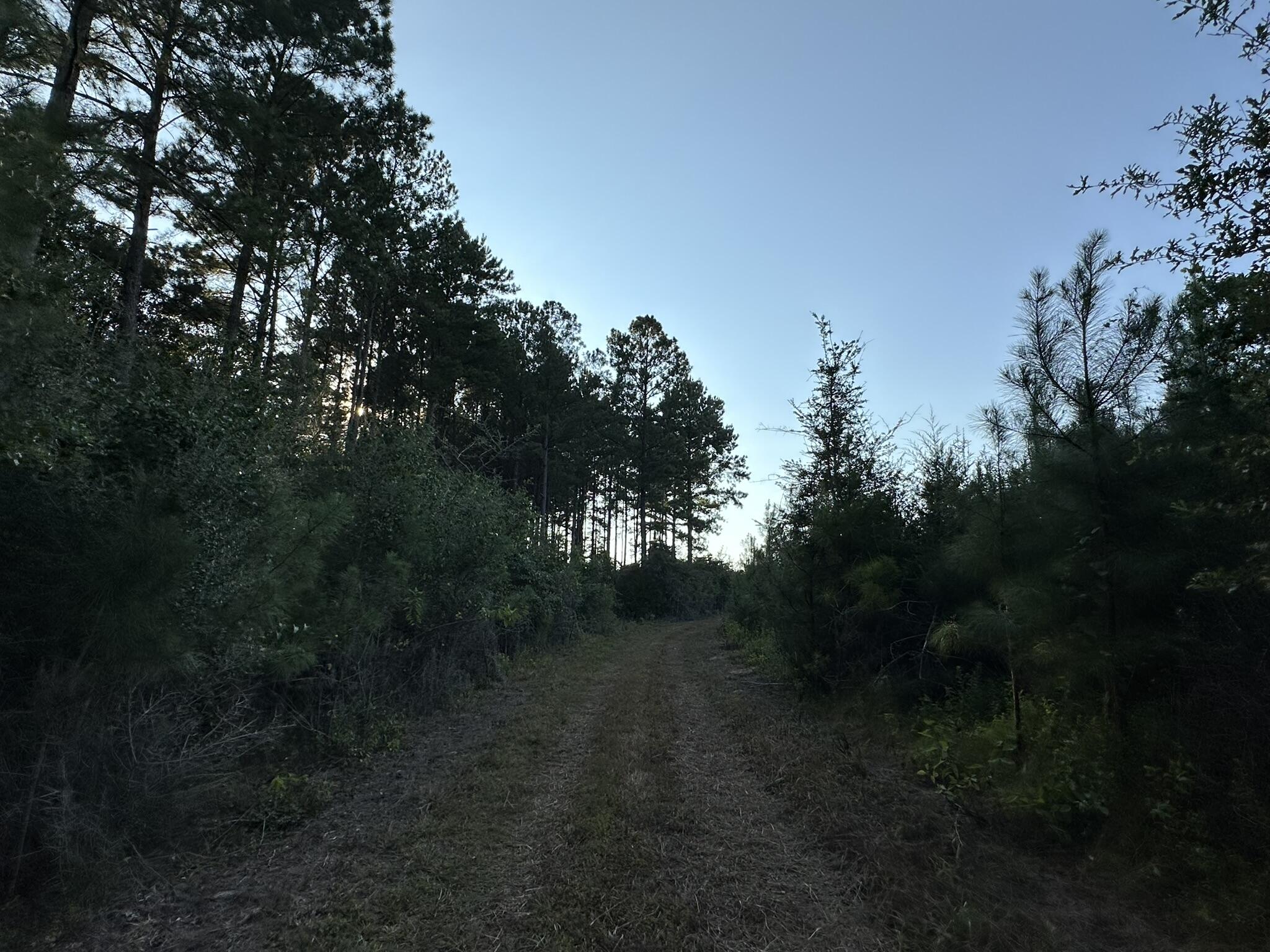 main property photo 33