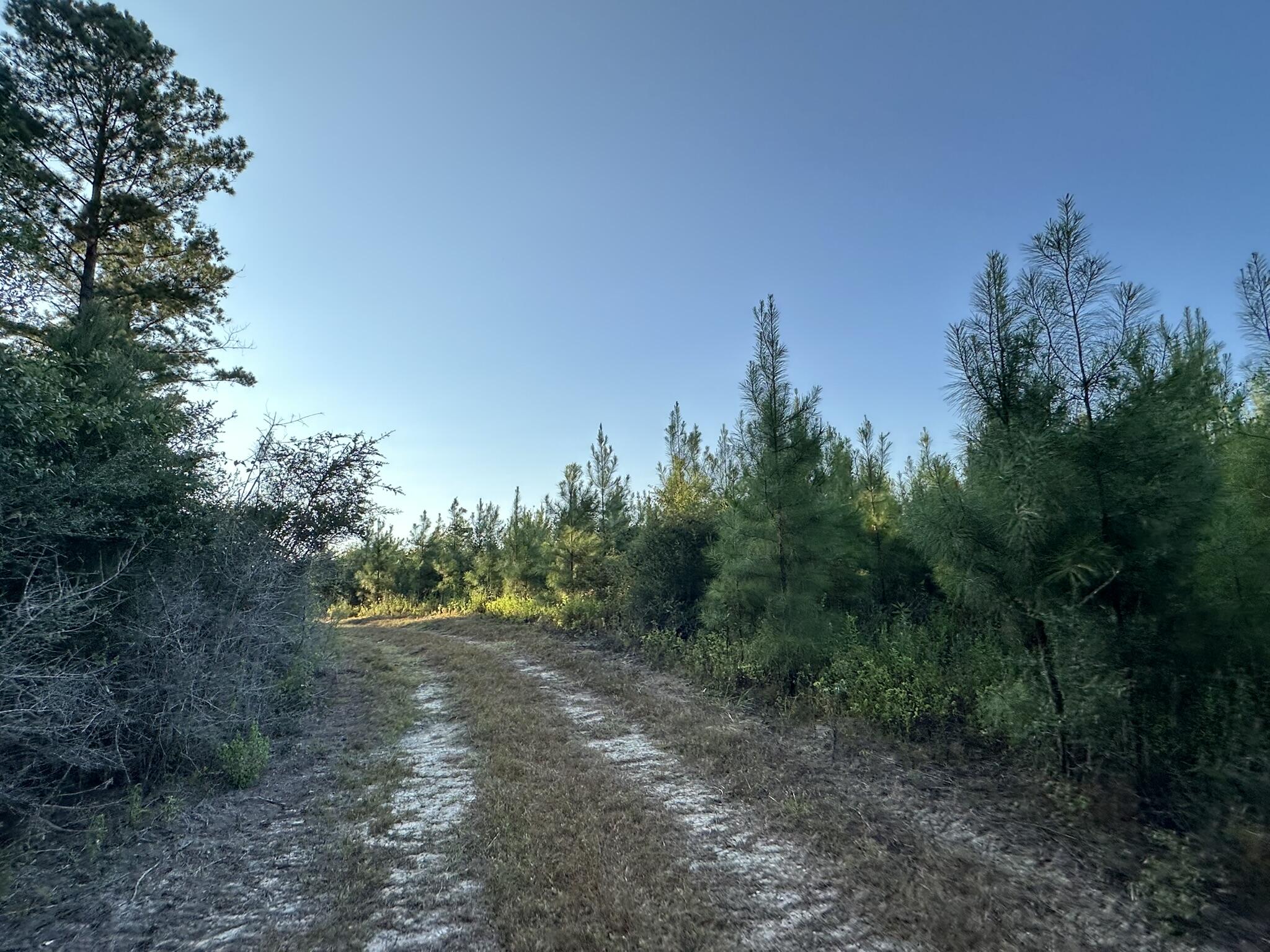 main property photo 34