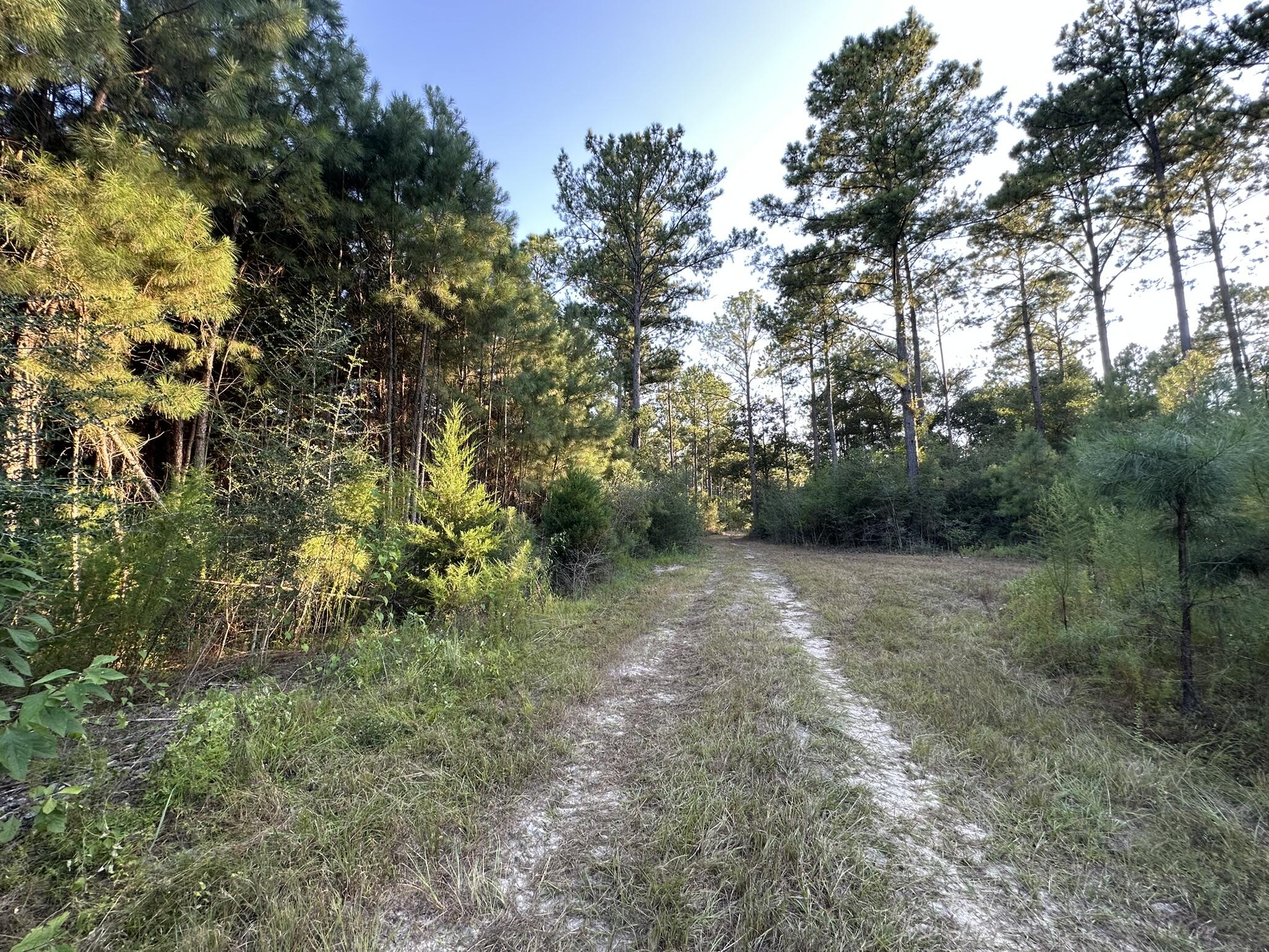 main property photo 36