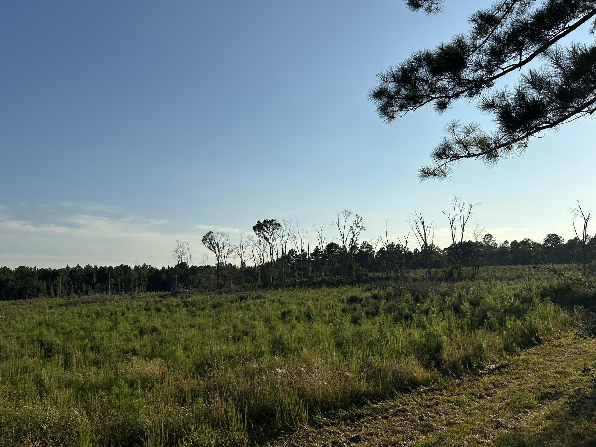 main property photo 37