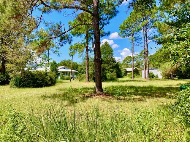main property photo 47