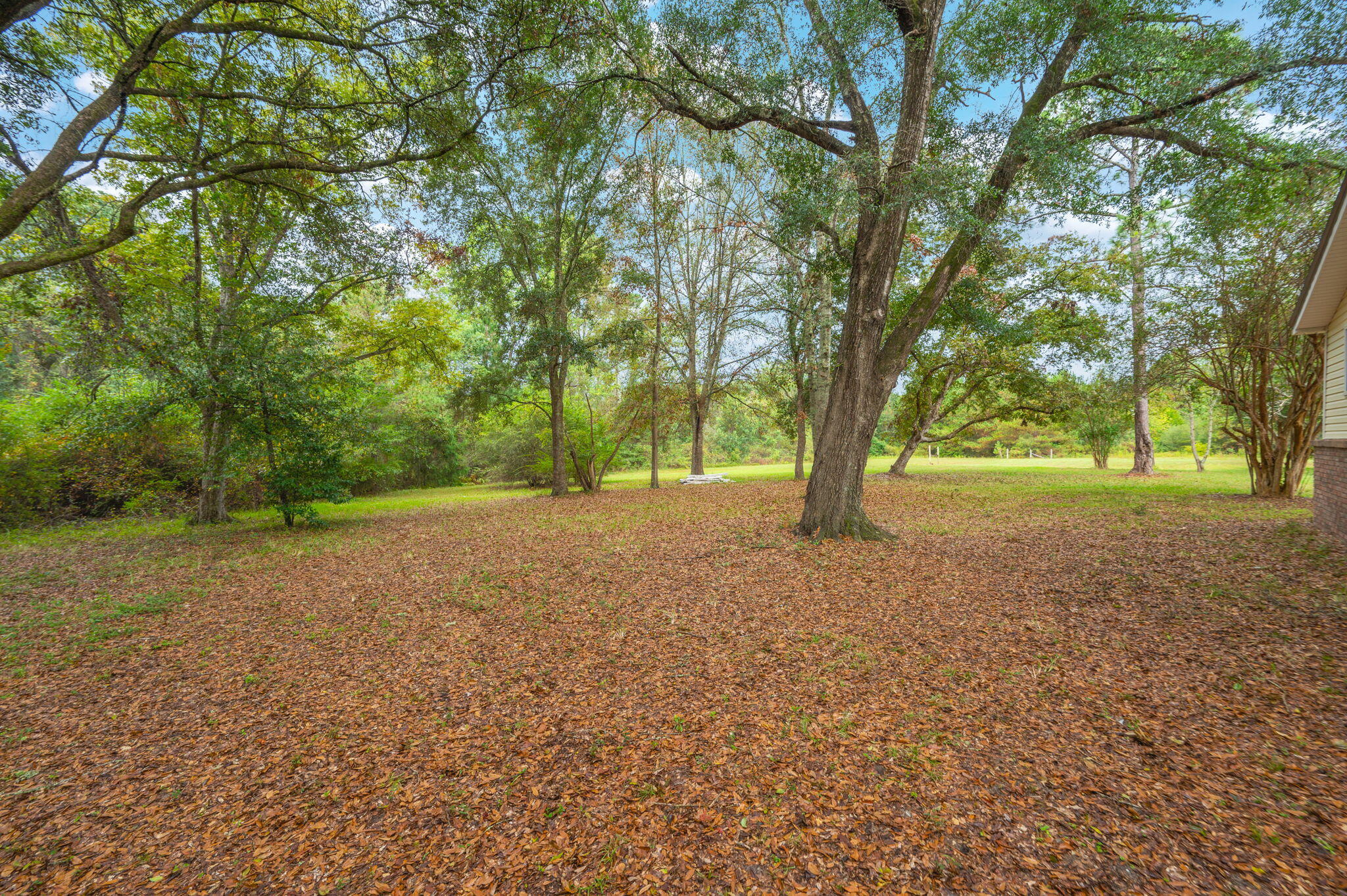 property viewer photo 37