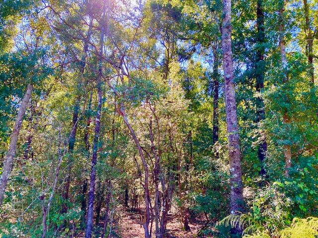 main property photo 11