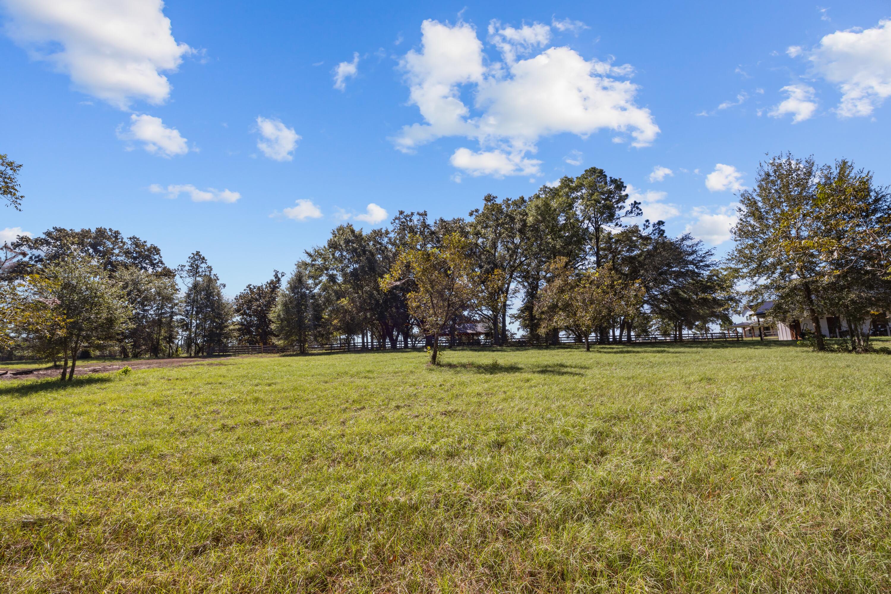 main property photo 135