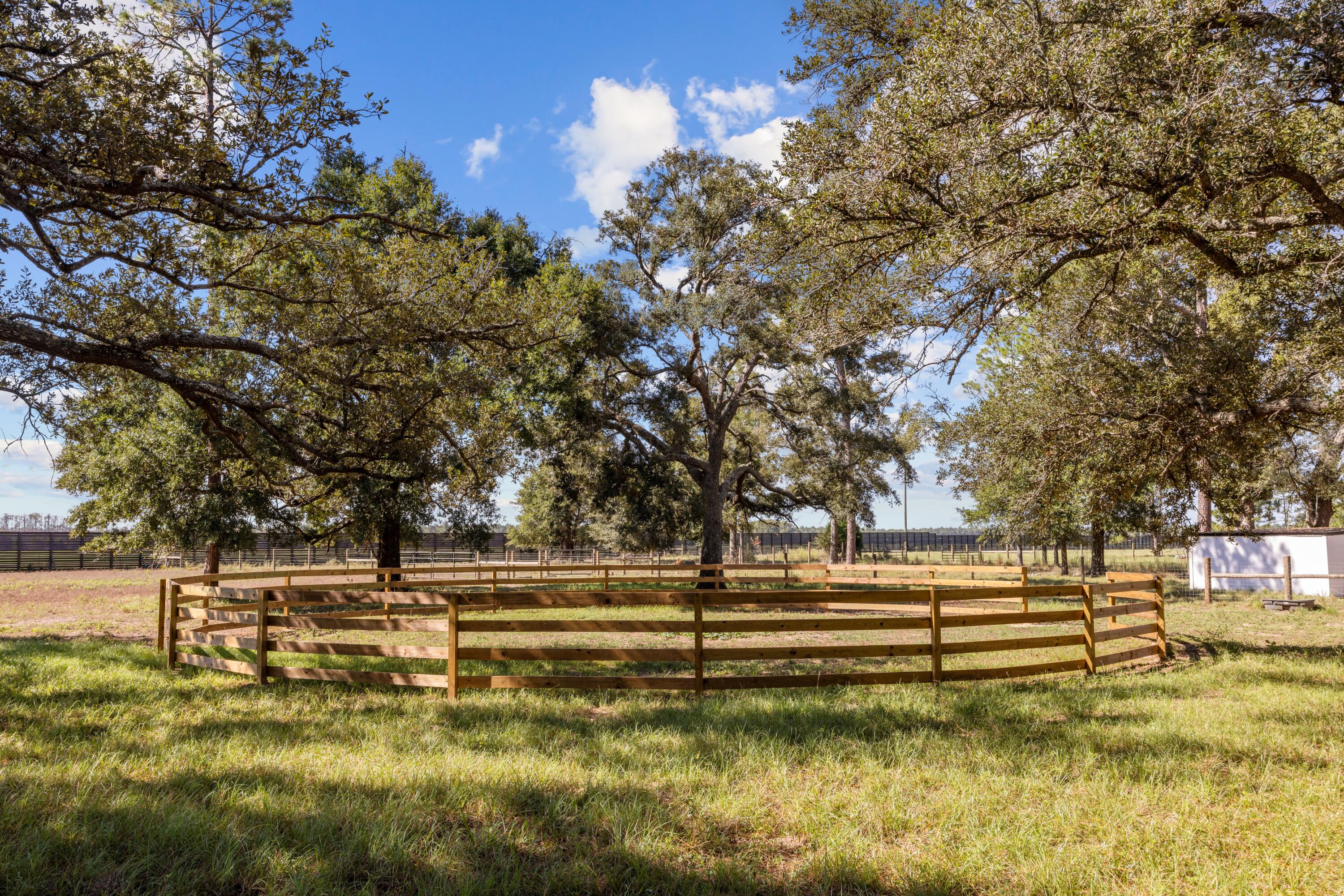 main property photo 137