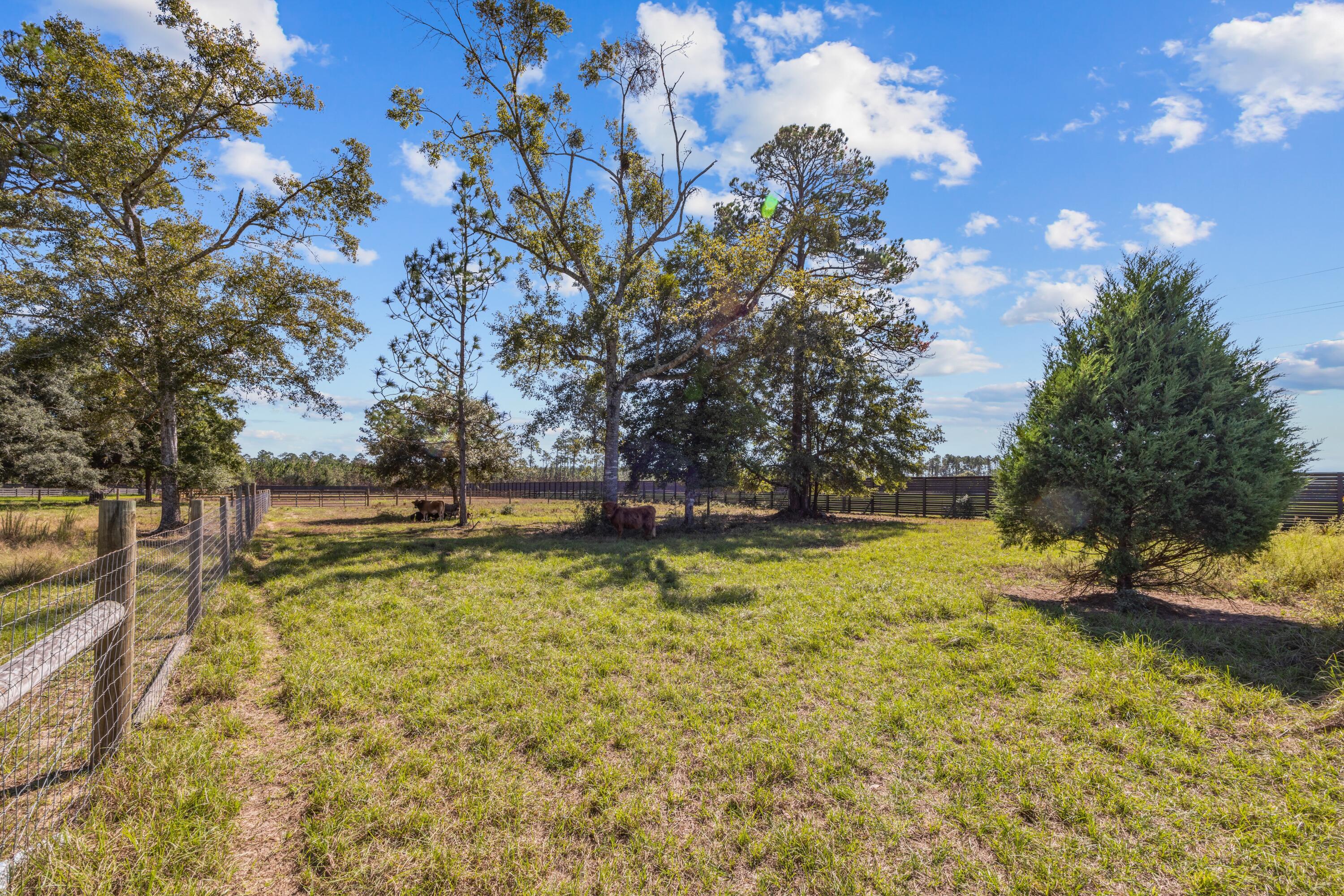 main property photo 144