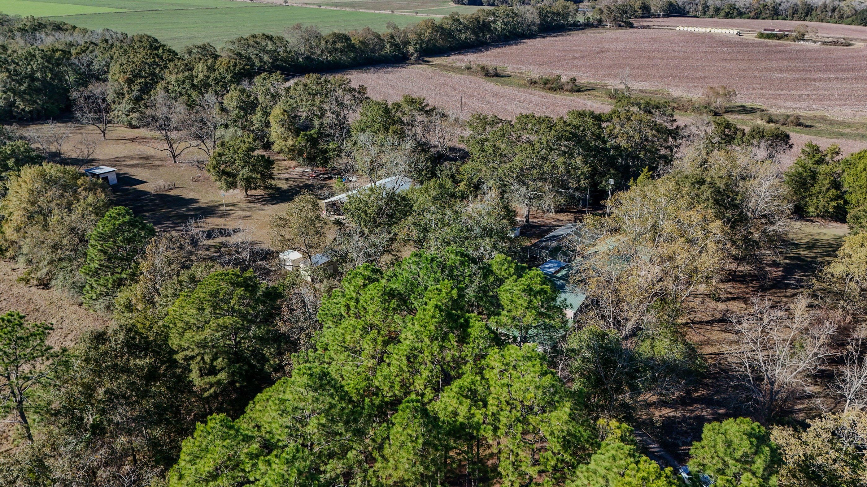 main property photo 39