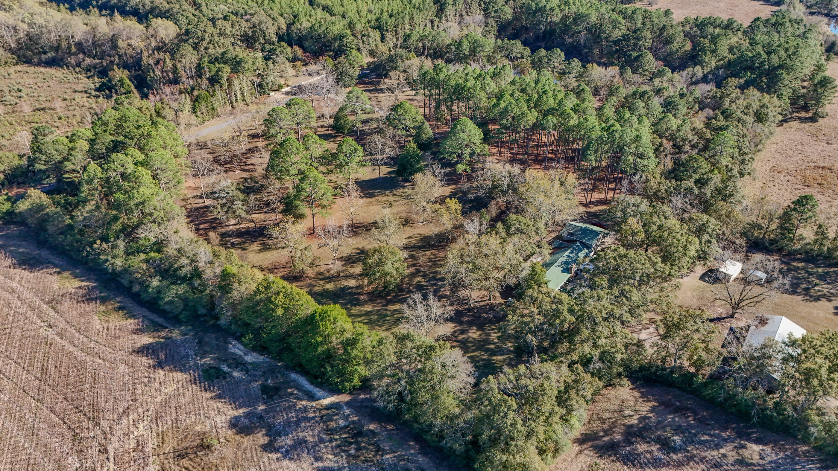 main property photo 41
