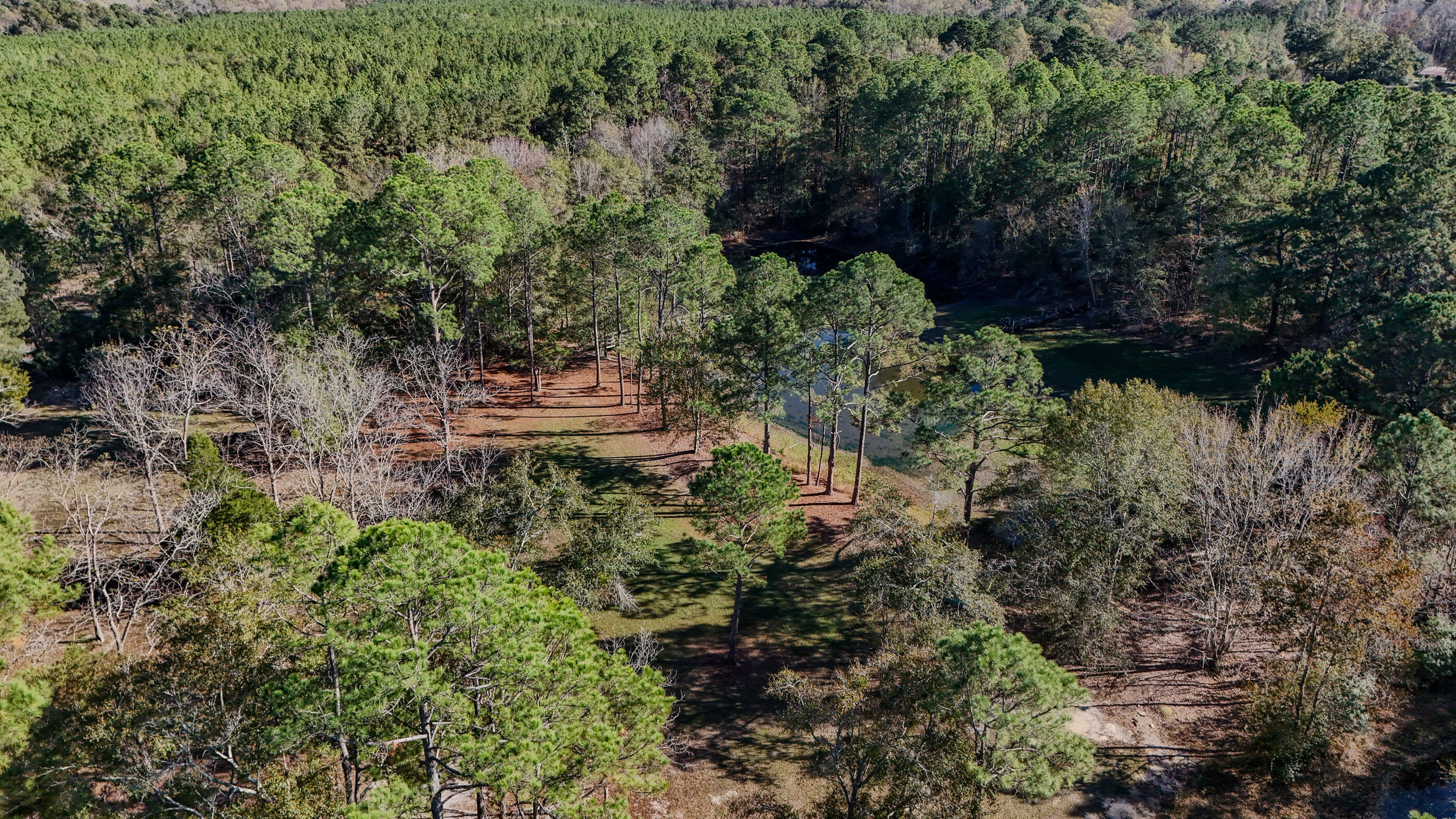 main property photo 56