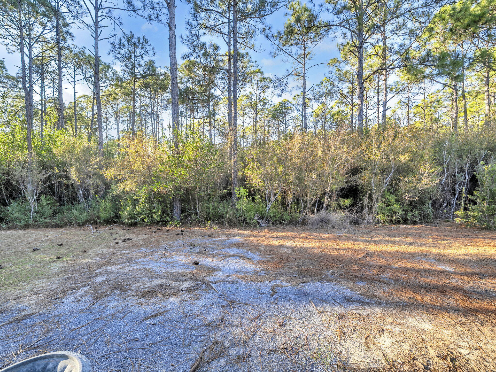 main property photo 37