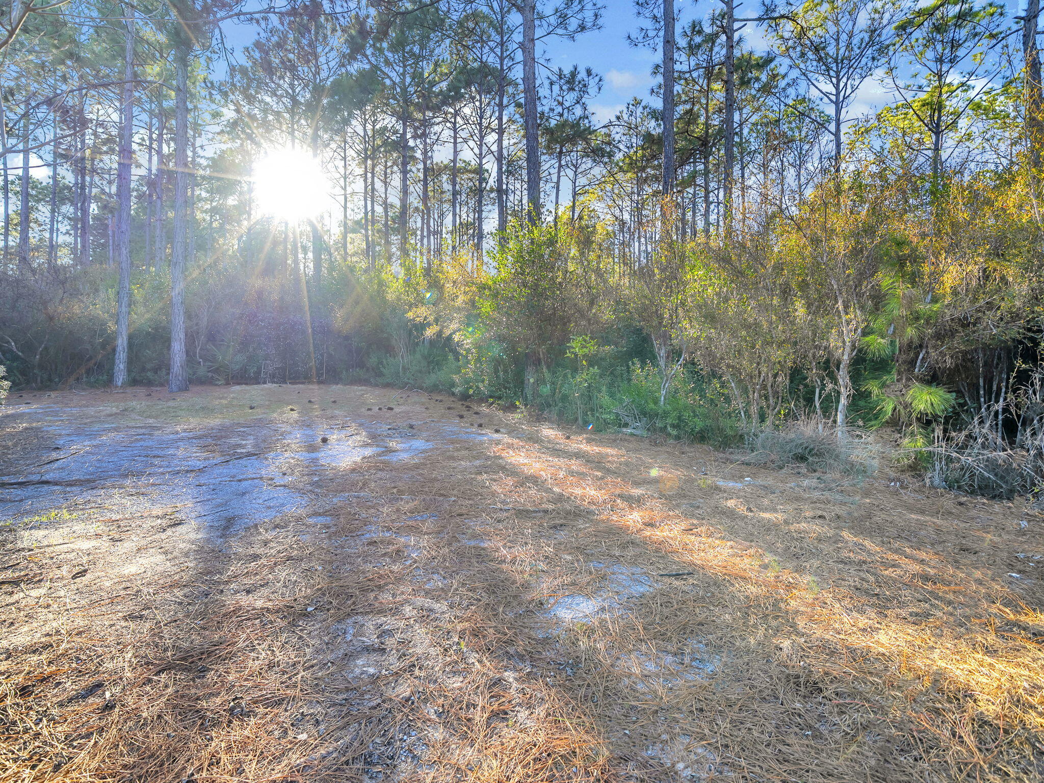 main property photo 38