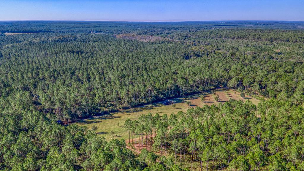 main property photo 155