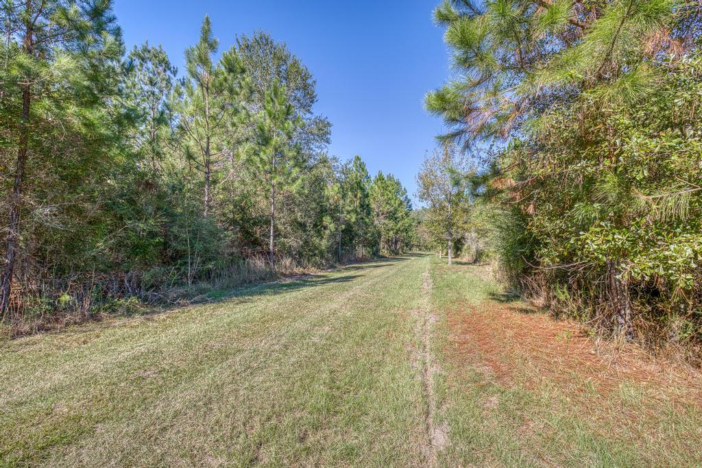 main property photo 37
