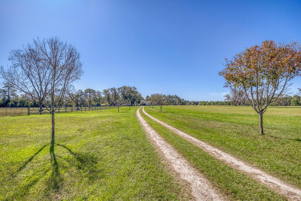 main property photo 58