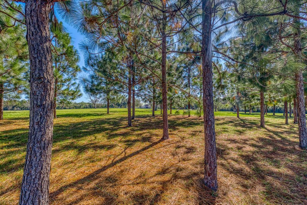 main property photo 62