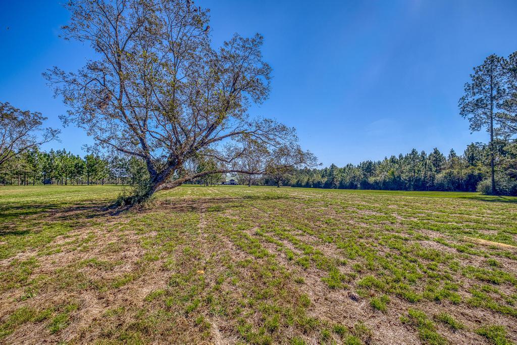 main property photo 63