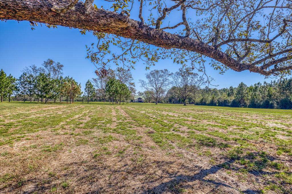 main property photo 64