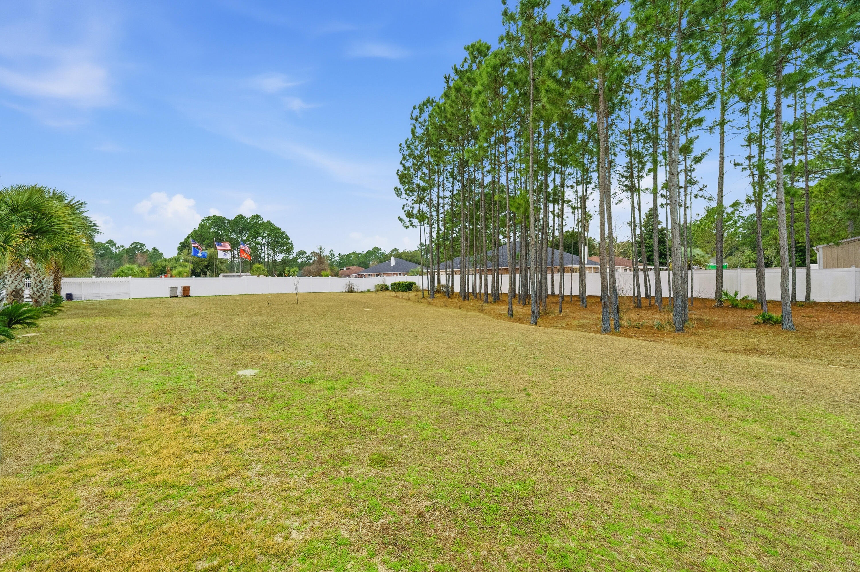 main property photo 91
