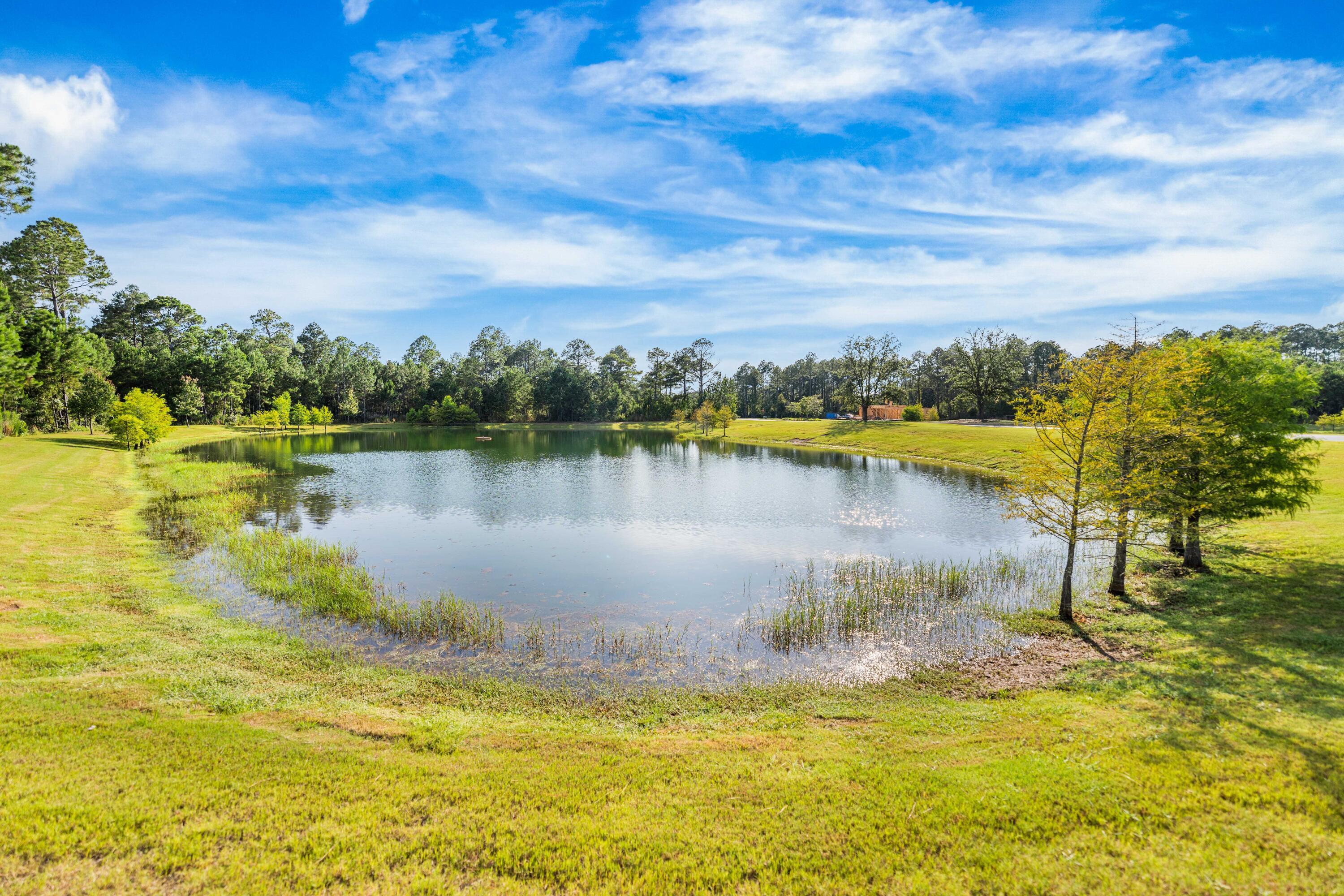 main property photo 141