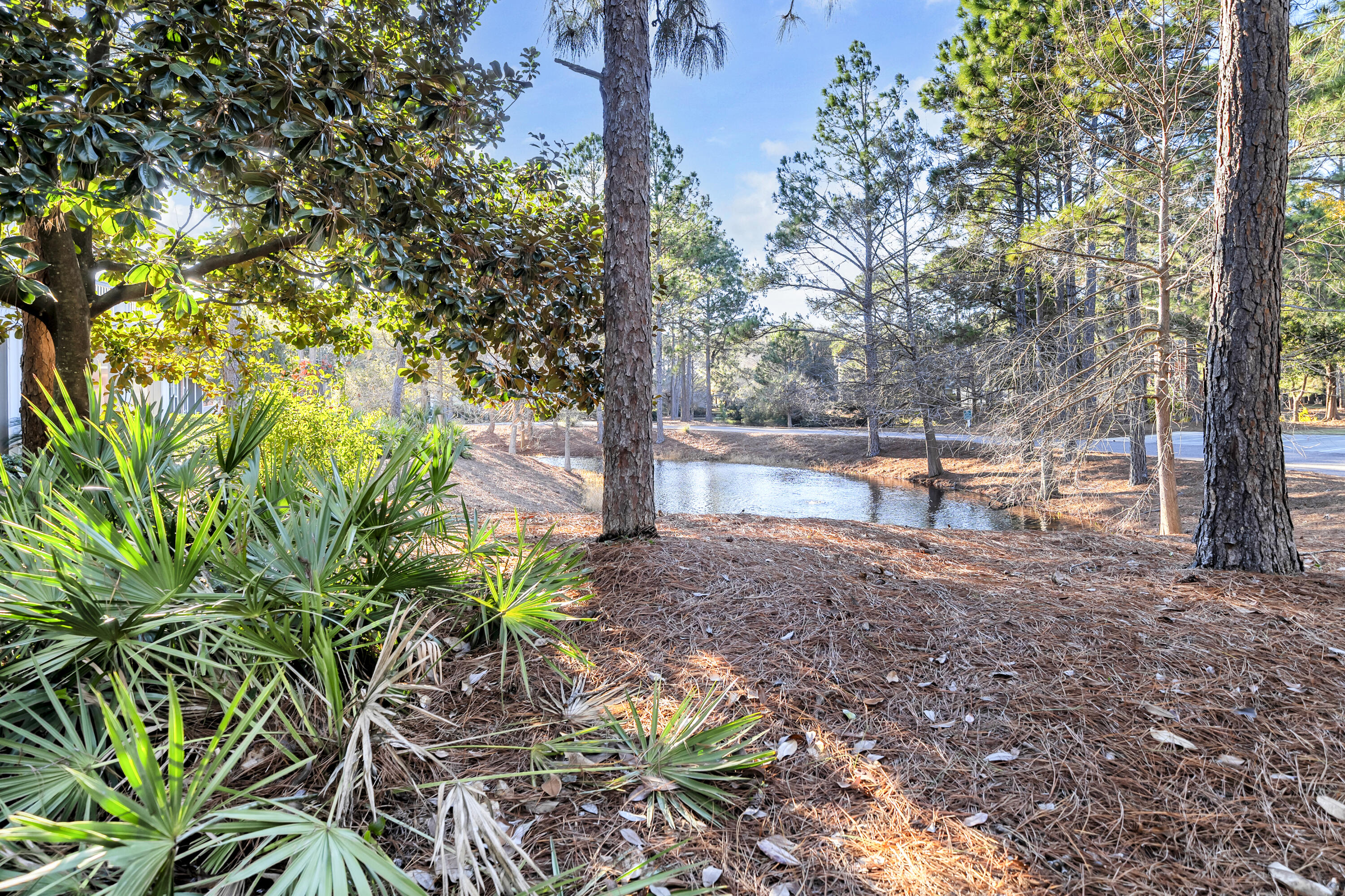main property photo 75