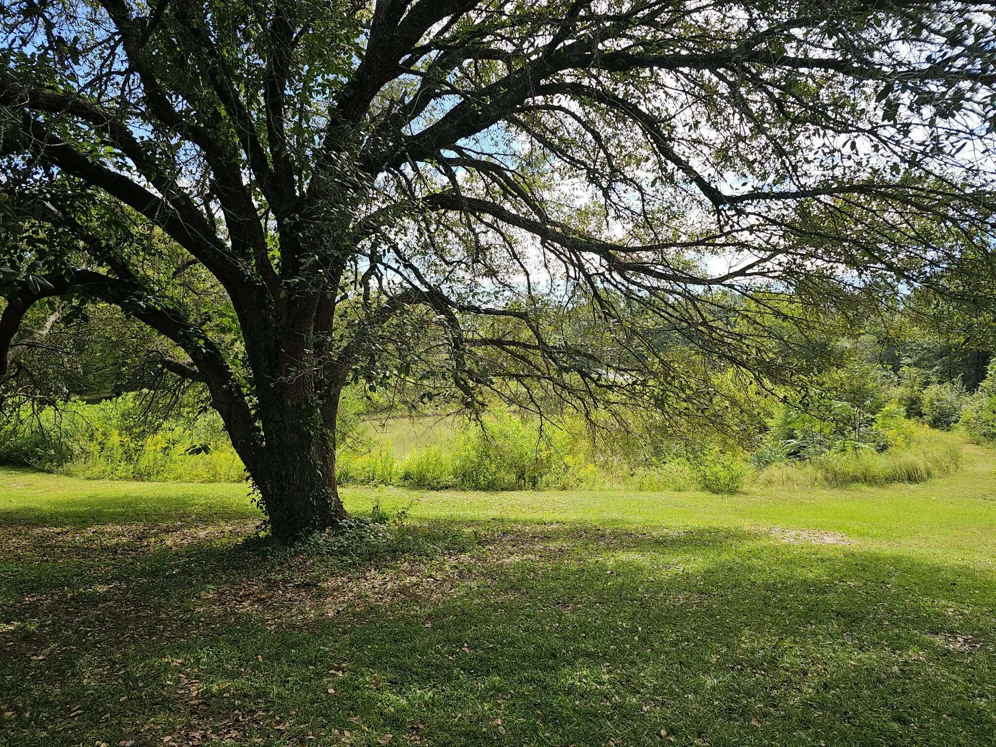 main property photo 28