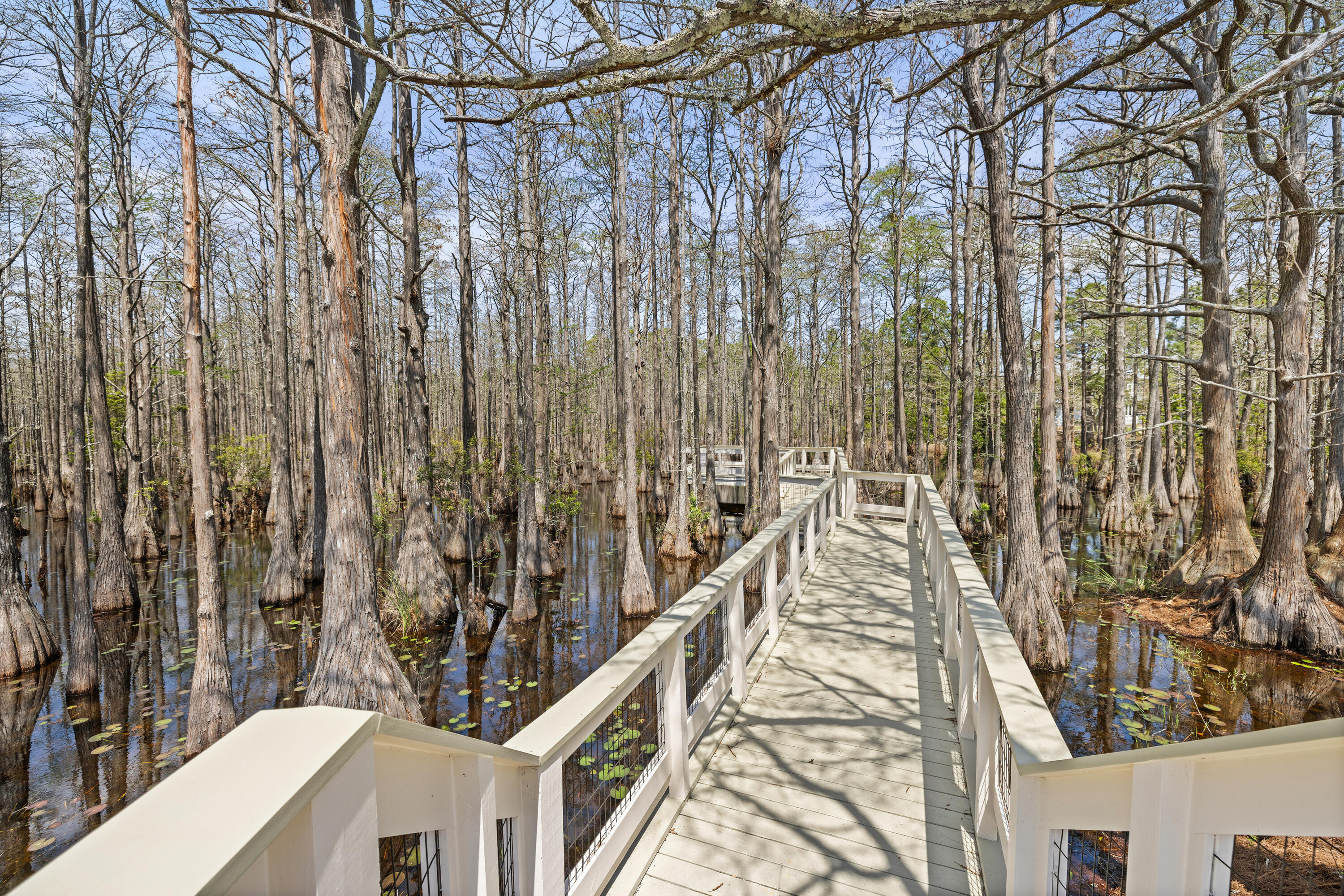 main property photo 56