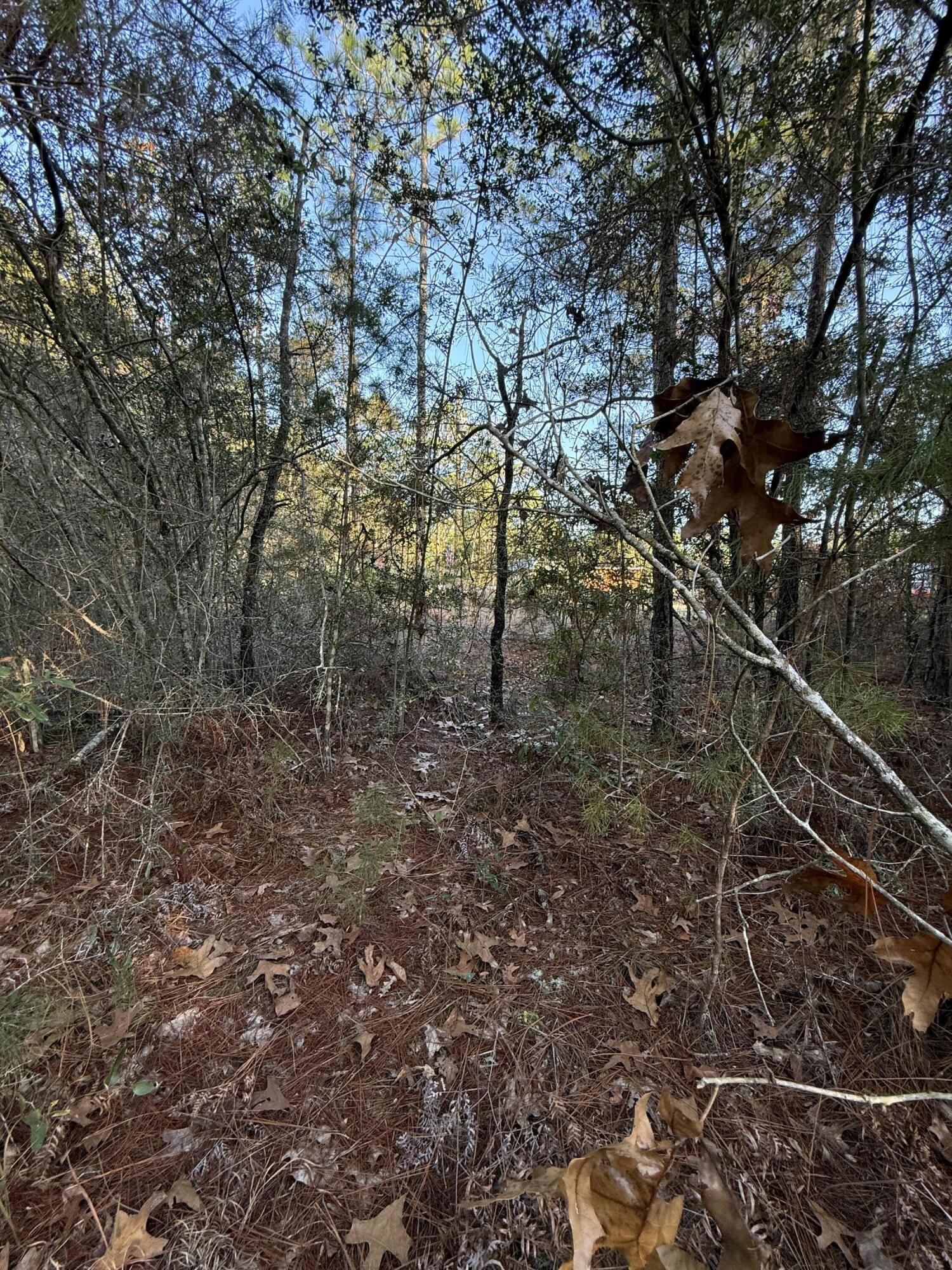 main property photo 6