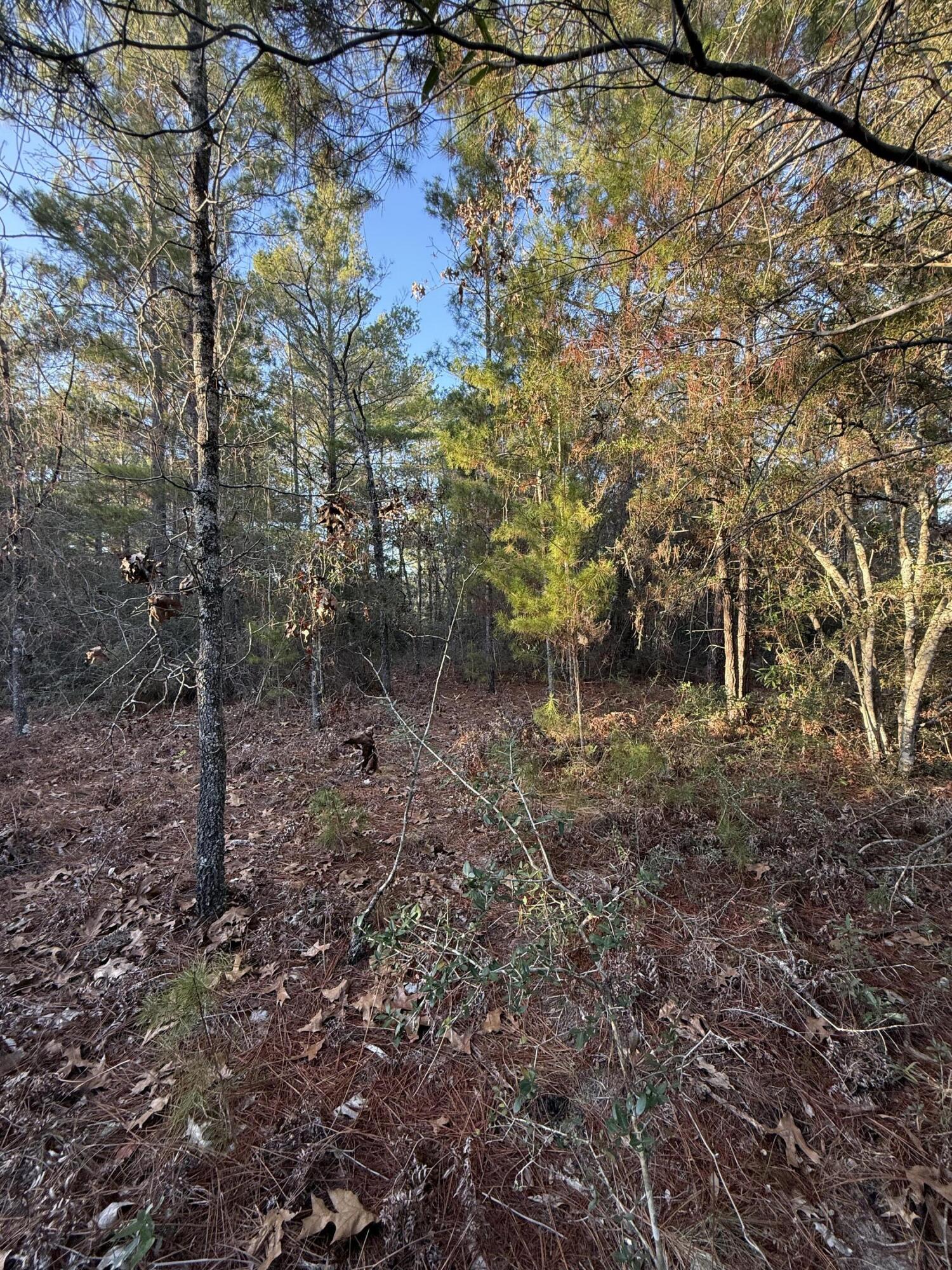 main property photo 7