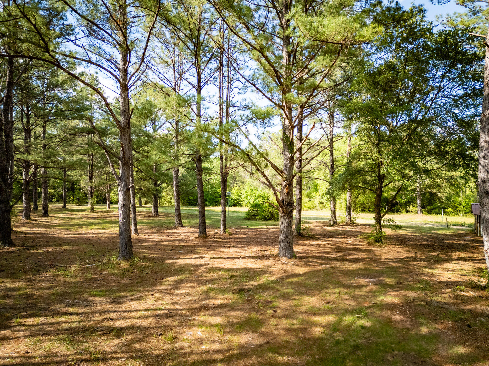 main property photo 13