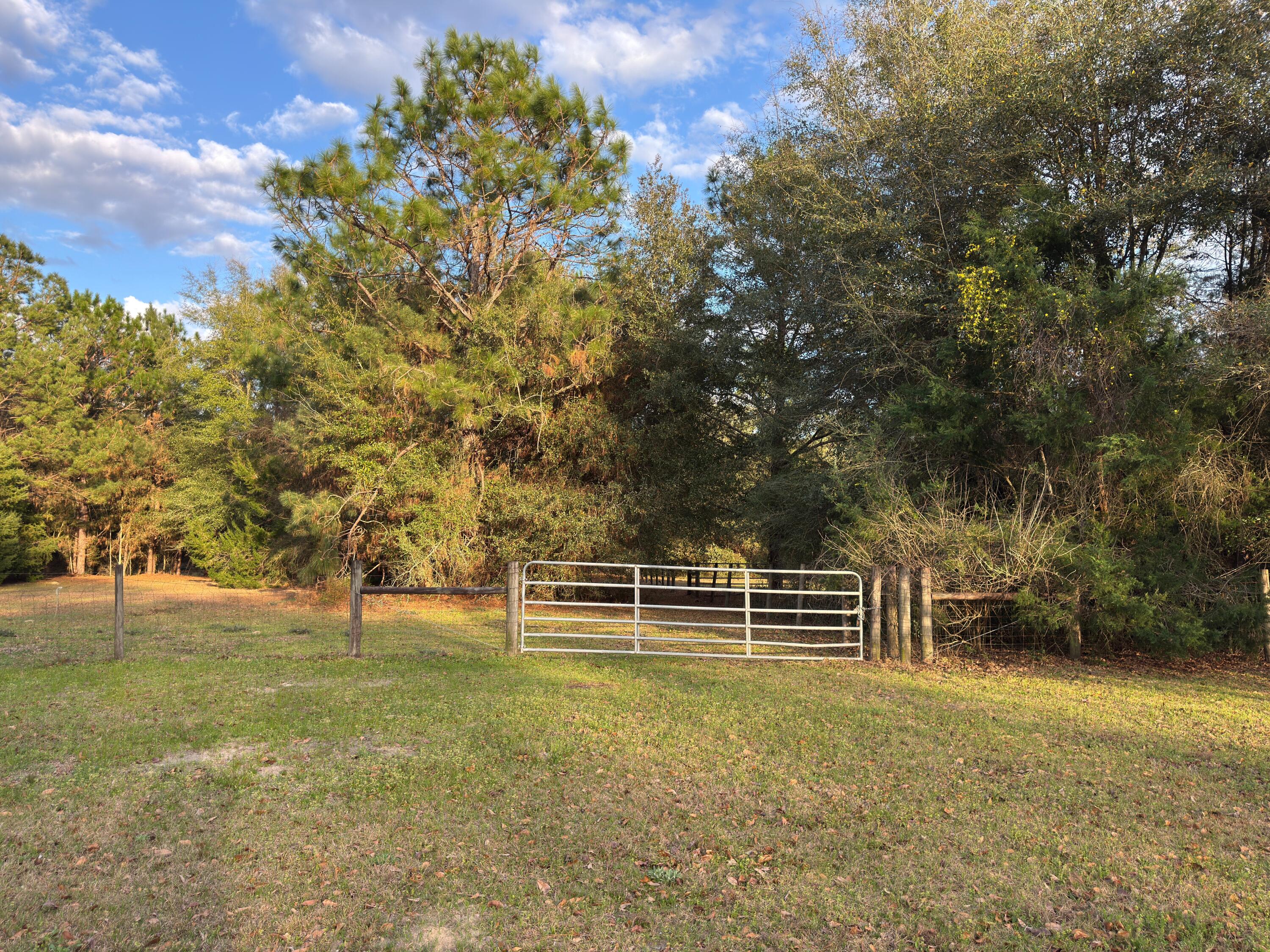 main property photo 10
