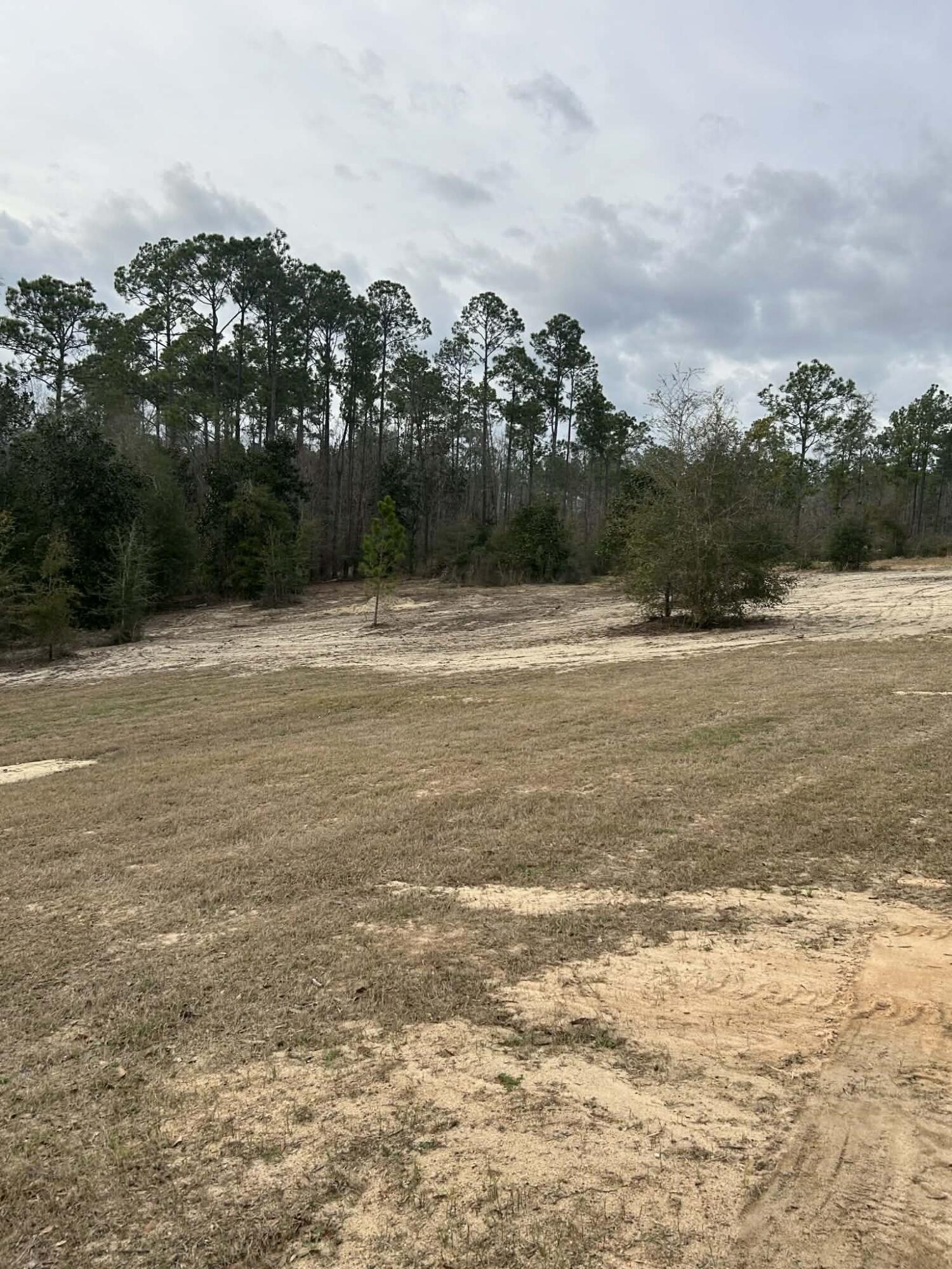 main property photo 11