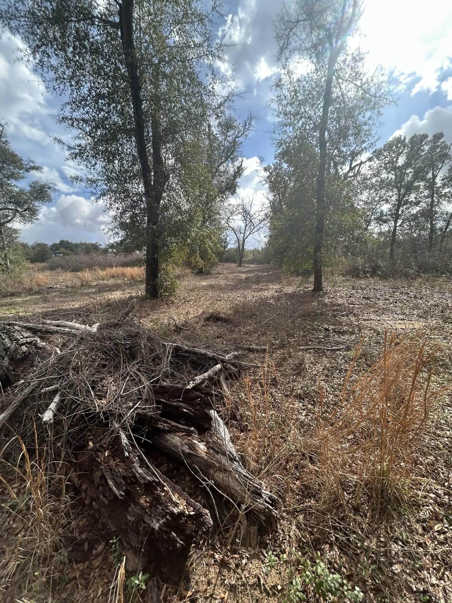 main property photo 34