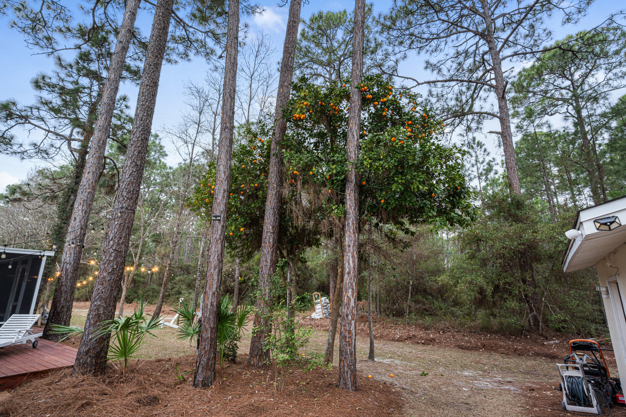 main property photo 84
