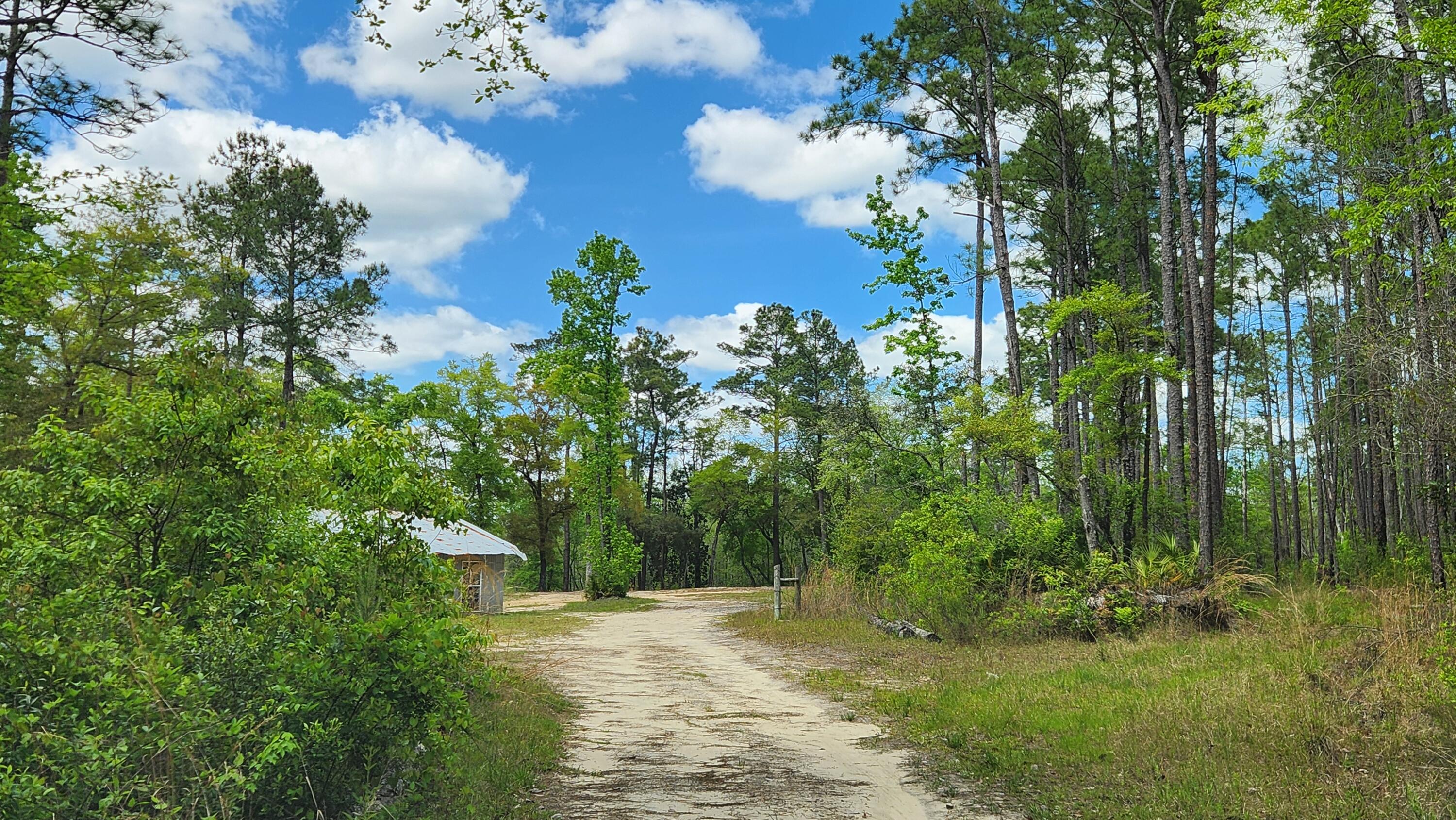 main property photo 18