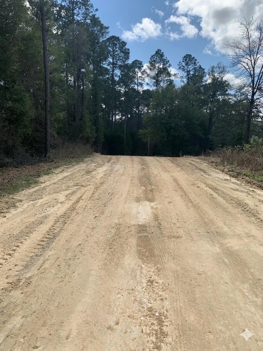 main property photo 4